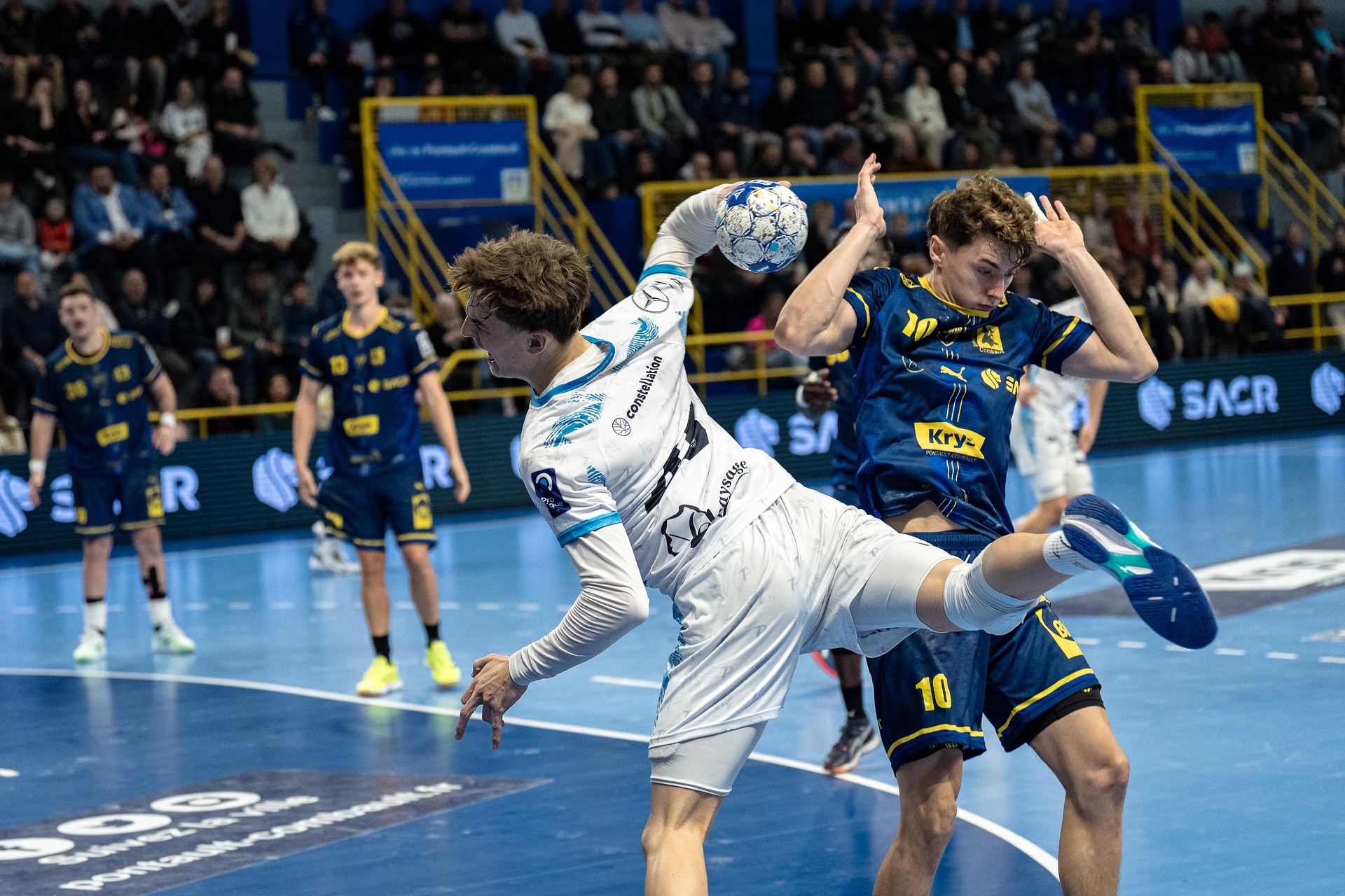 DSC03937.jpg_compressed