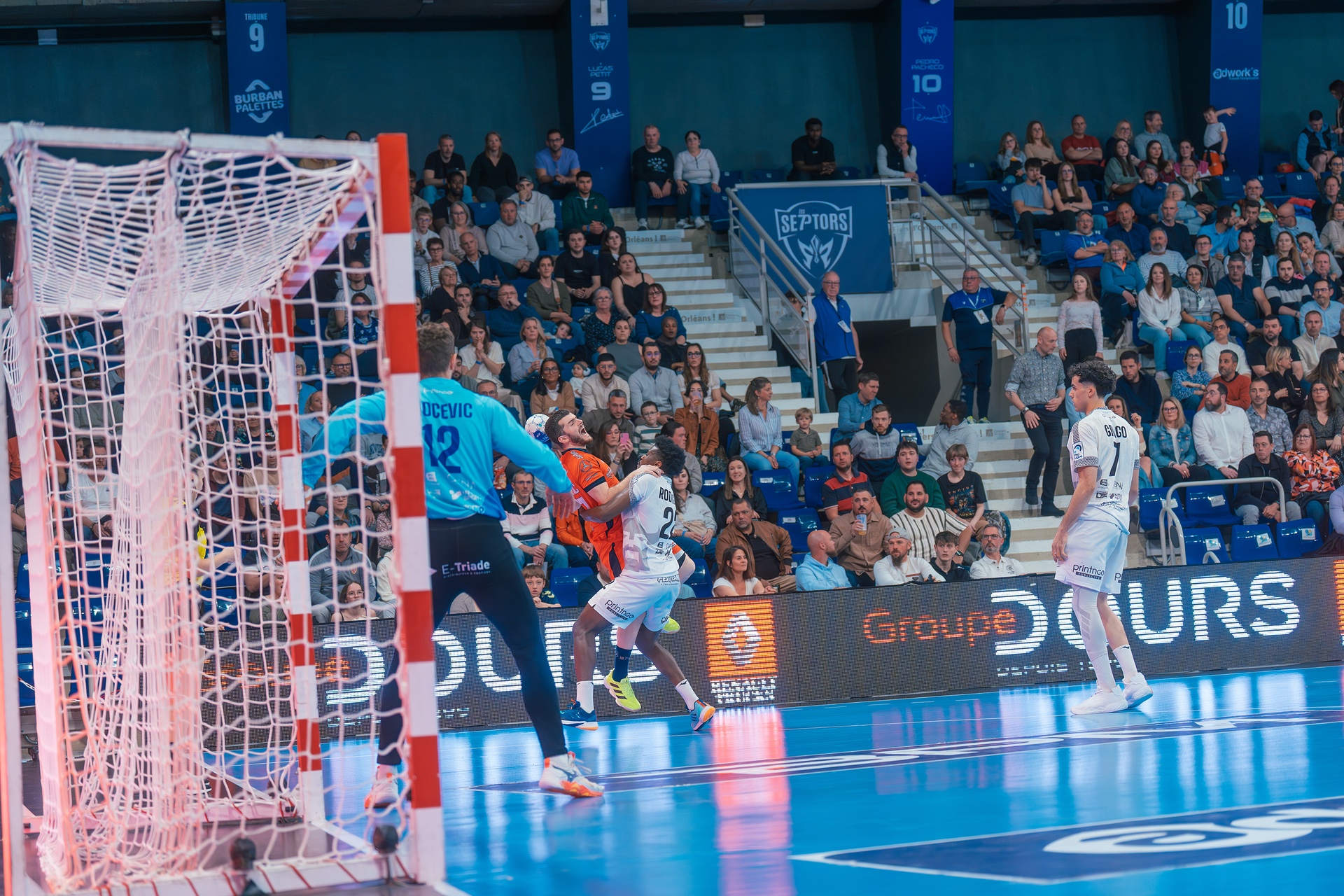 DSC04009.jpg_compressed