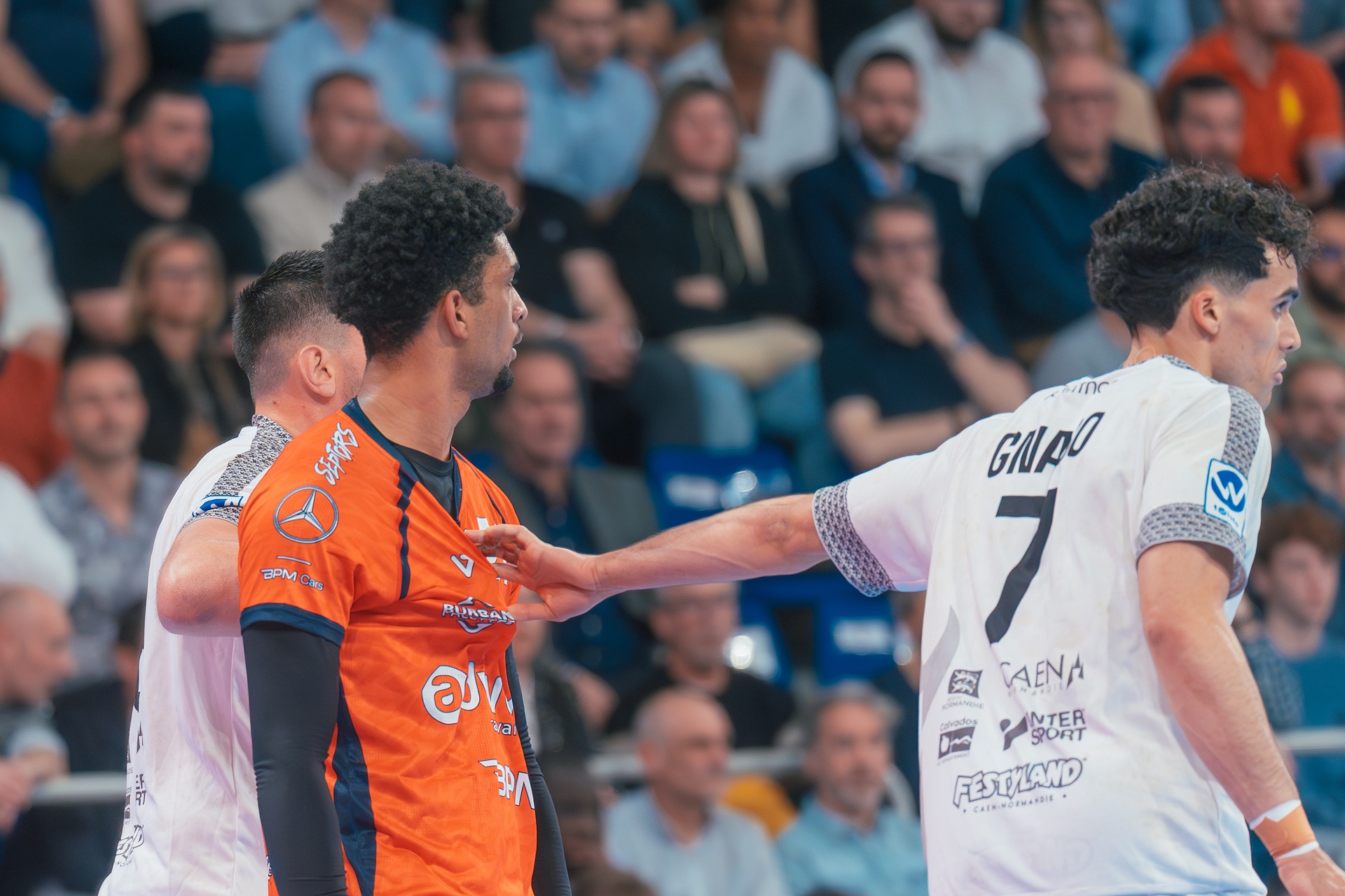 DSC04025.jpg_compressed