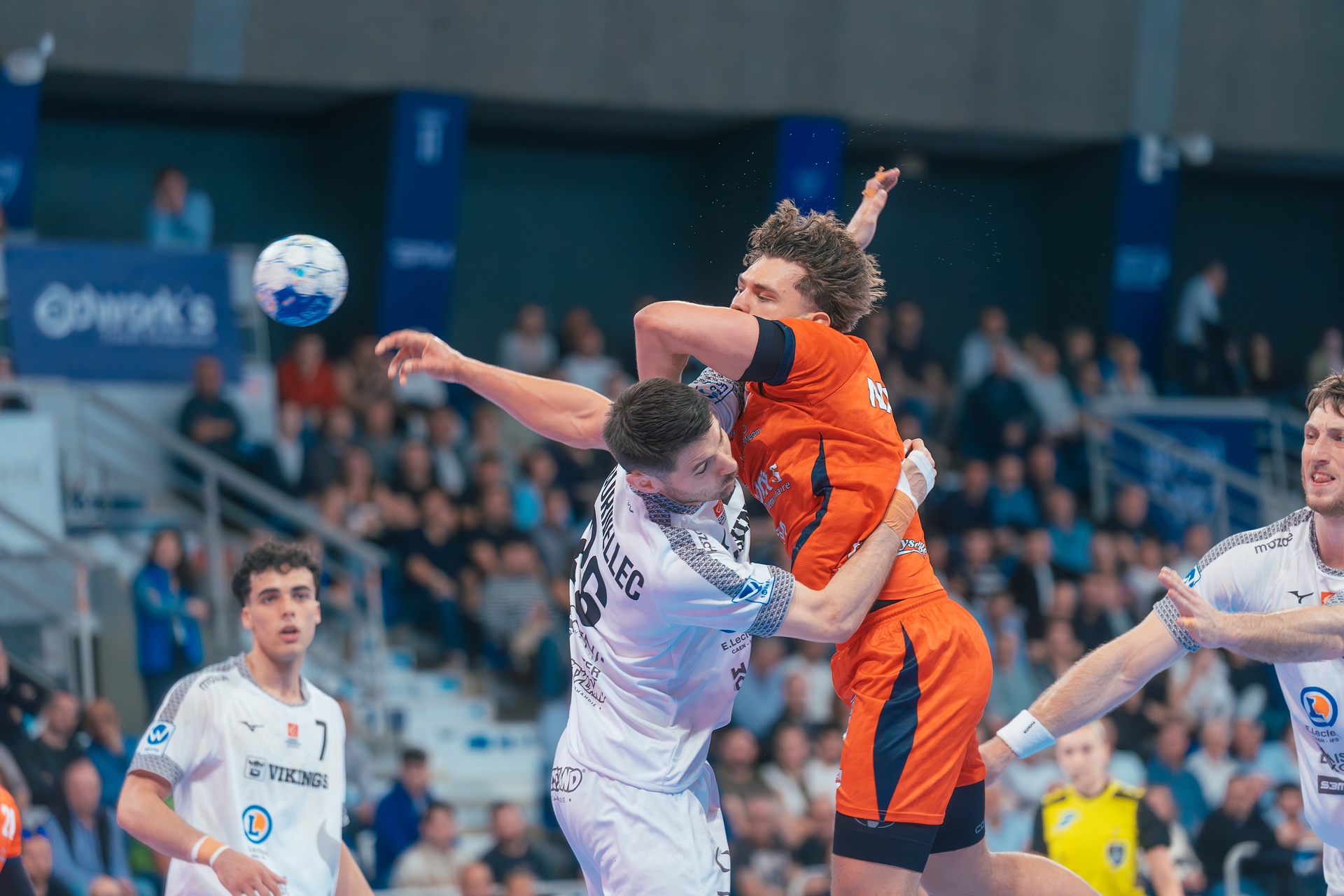 DSC04032.jpg_compressed