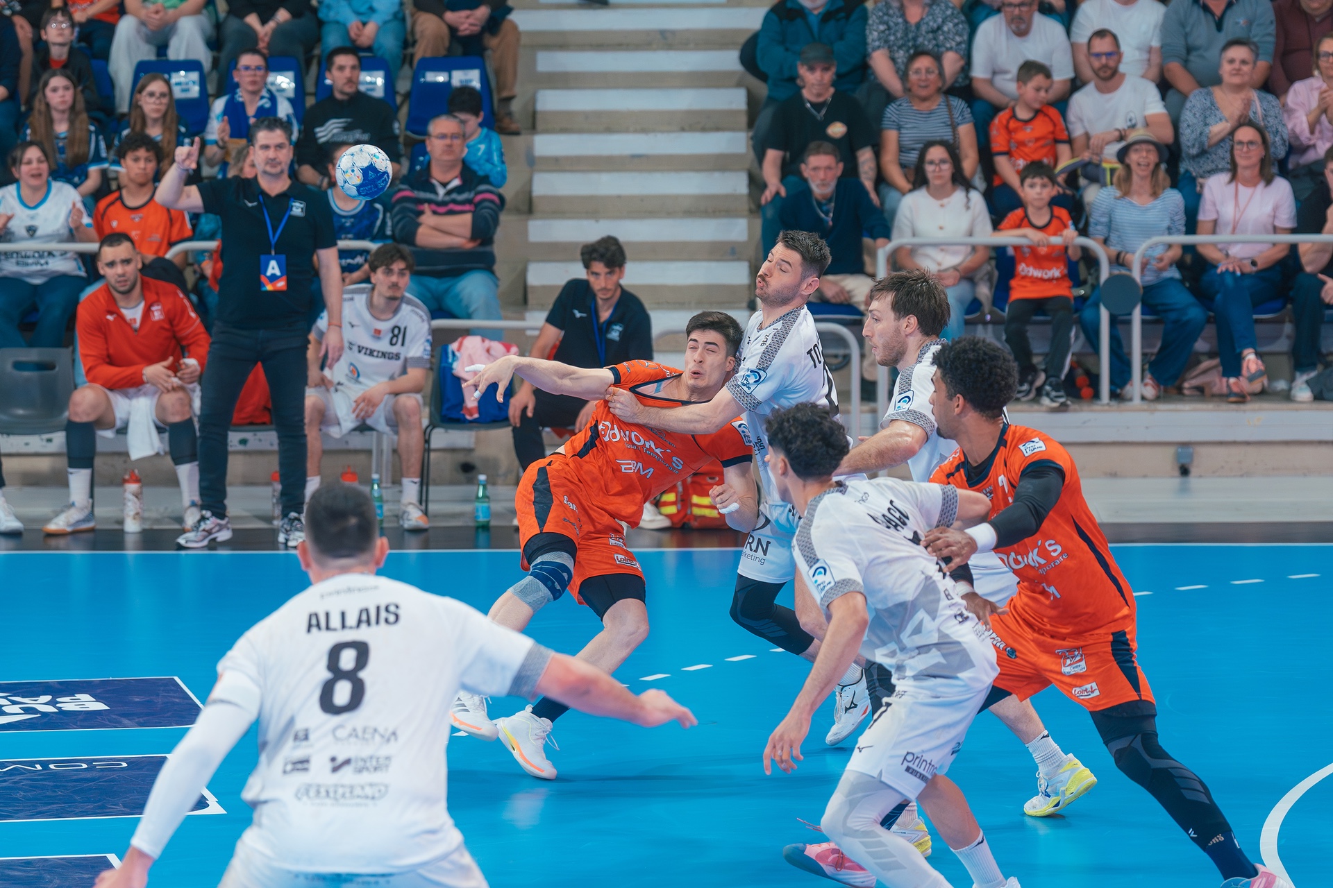 DSC04098.jpg_compressed