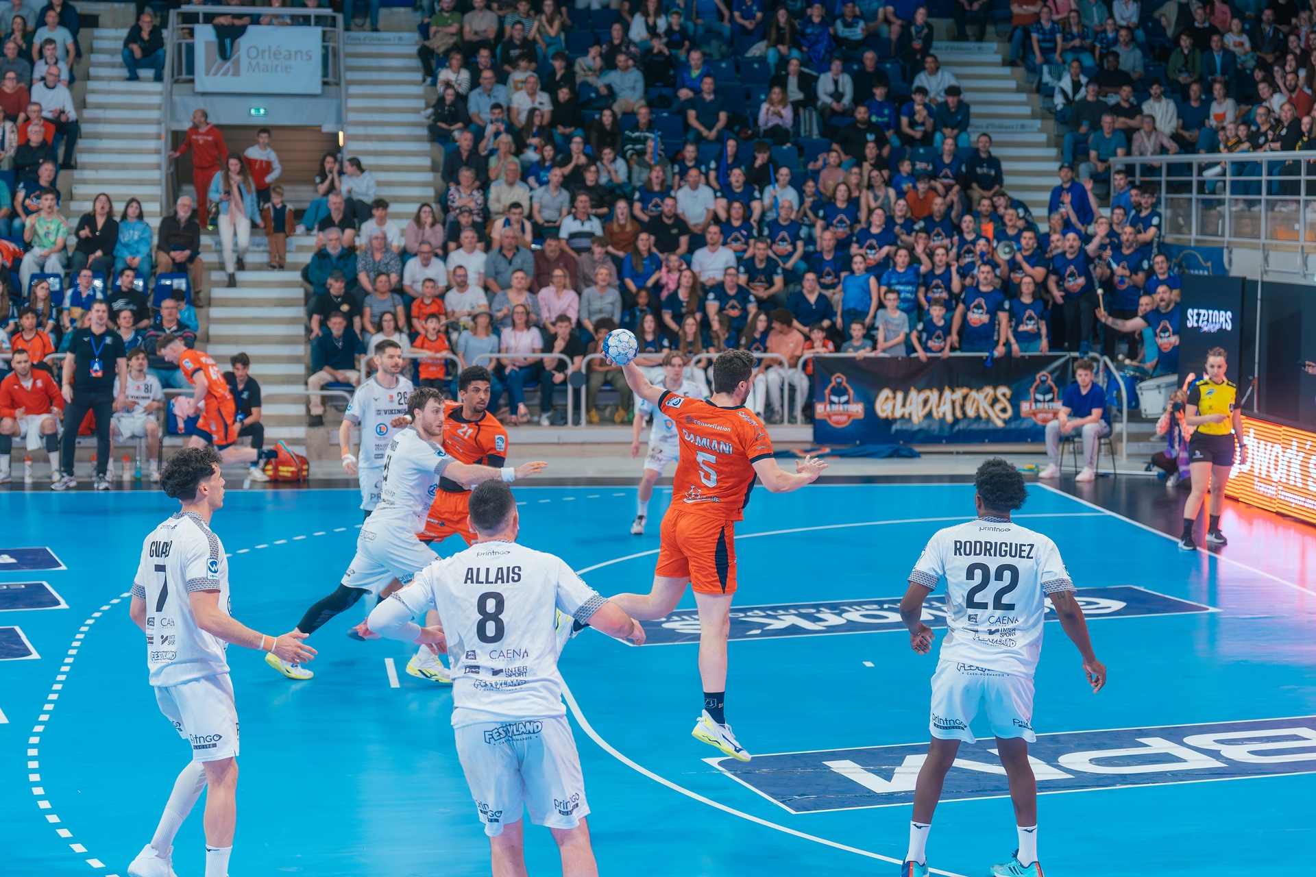 DSC04103.jpg_compressed