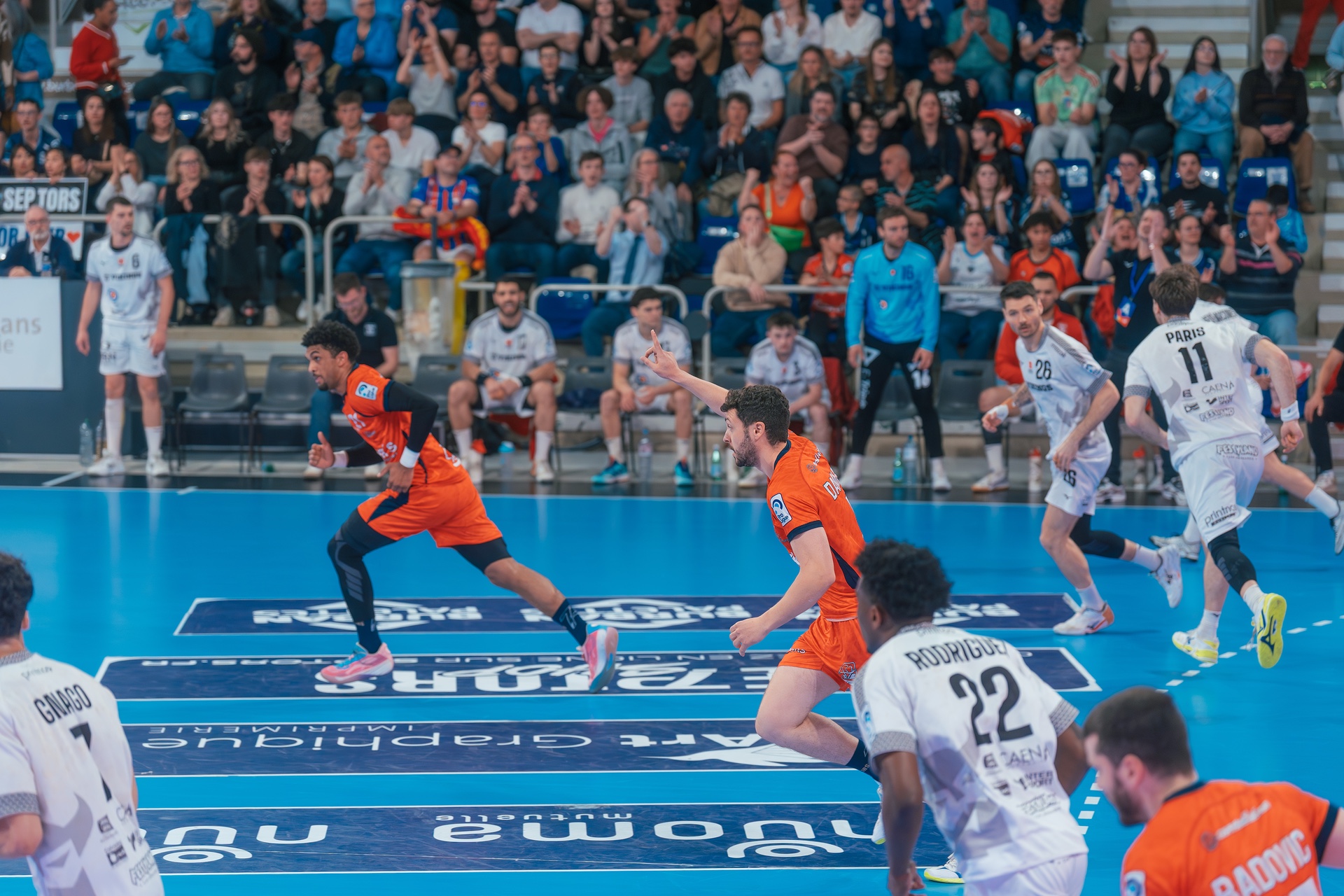 DSC04113.jpg_compressed