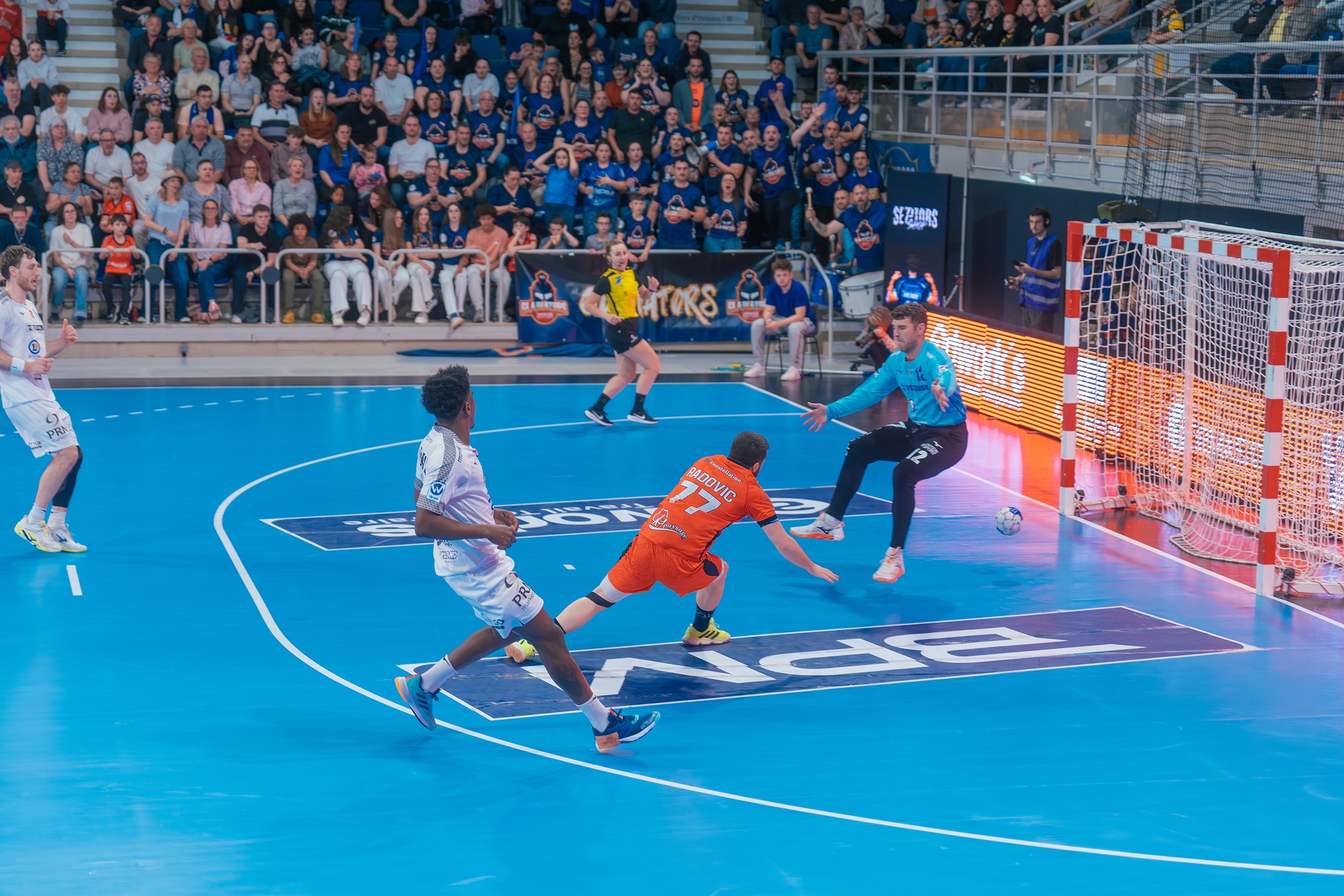 DSC04178.jpg_compressed