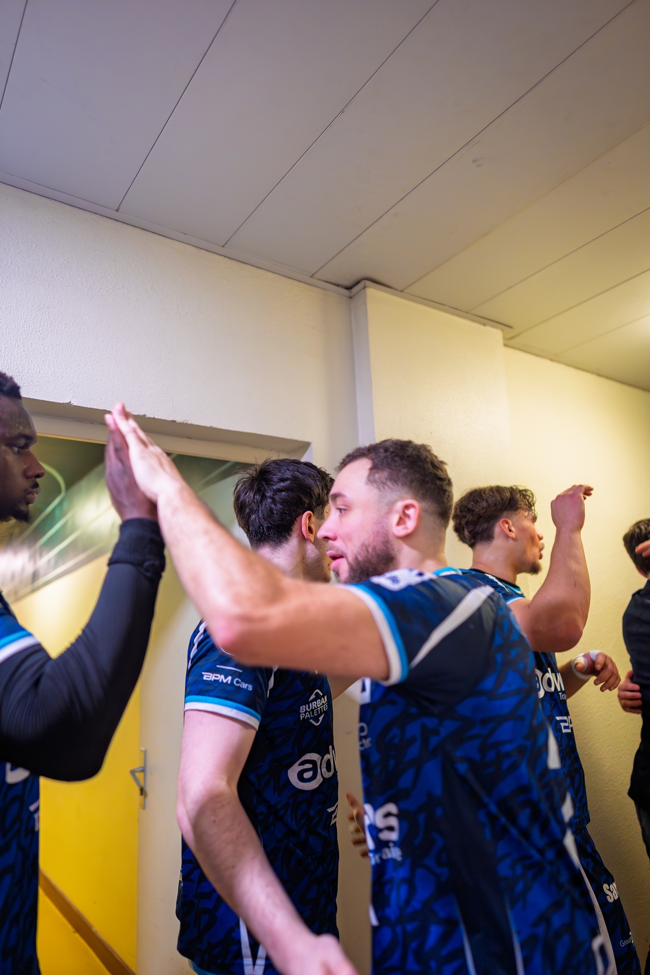 DSC04263.jpg_compressed