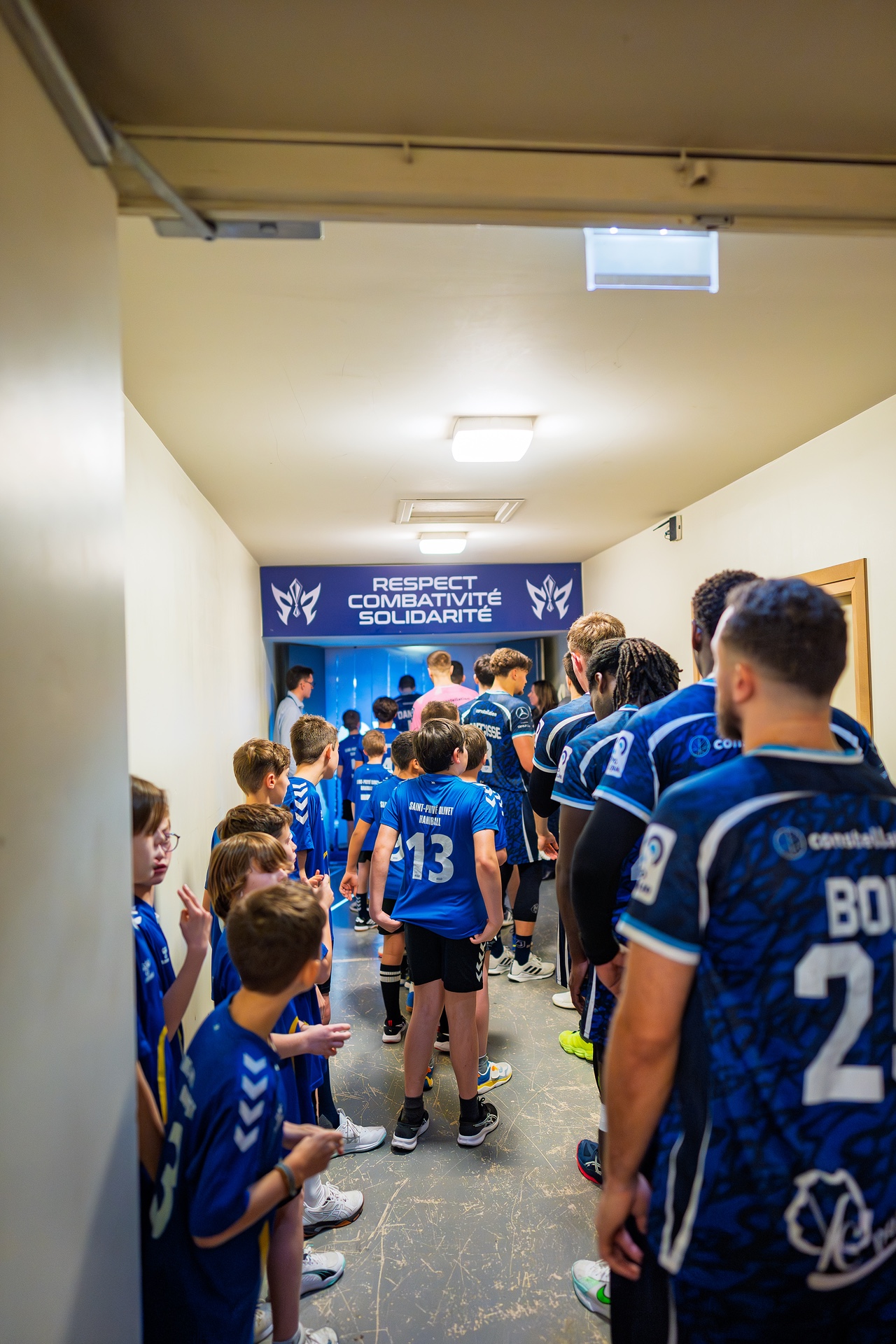 DSC04333.jpg_compressed