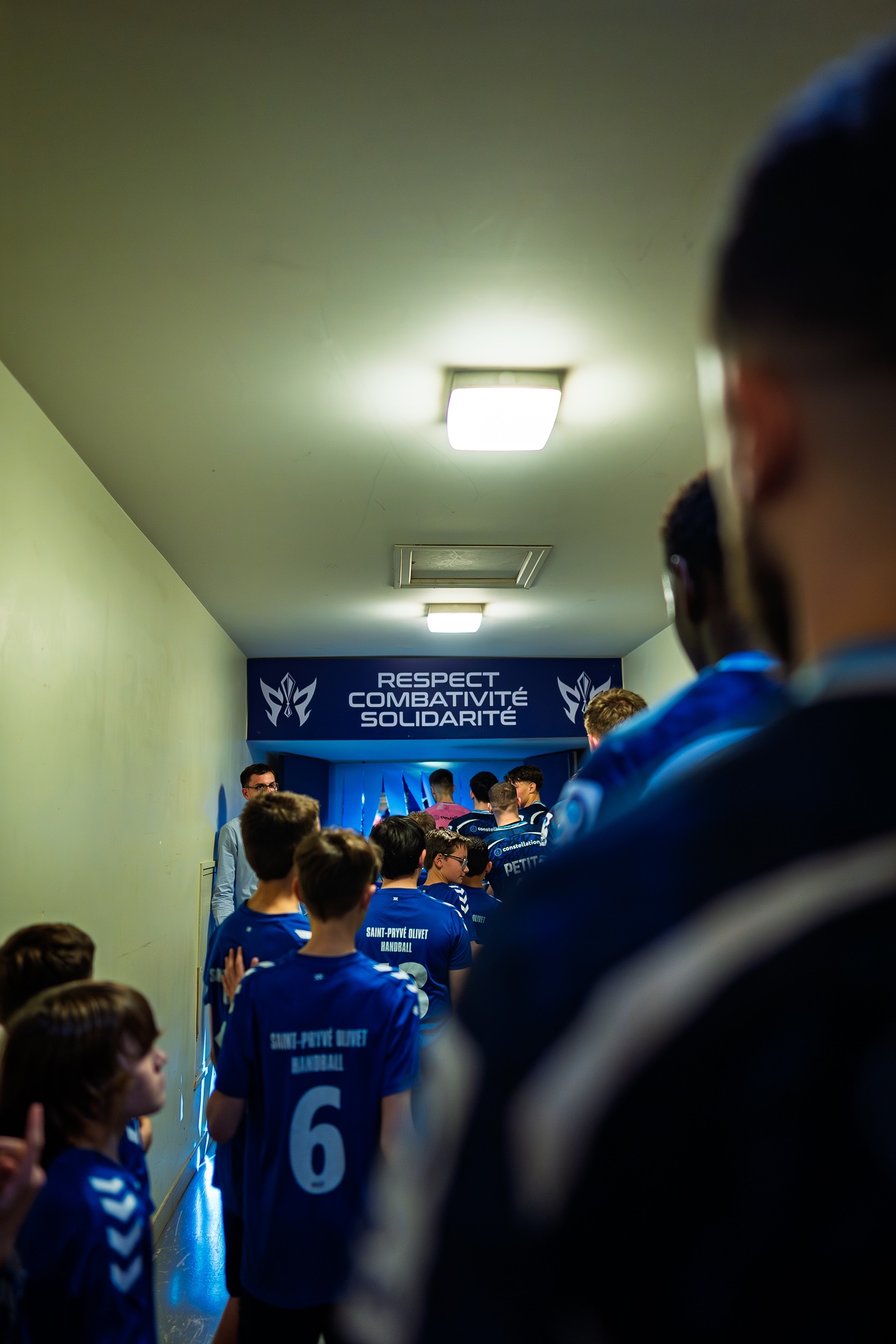 DSC04337.jpg_compressed