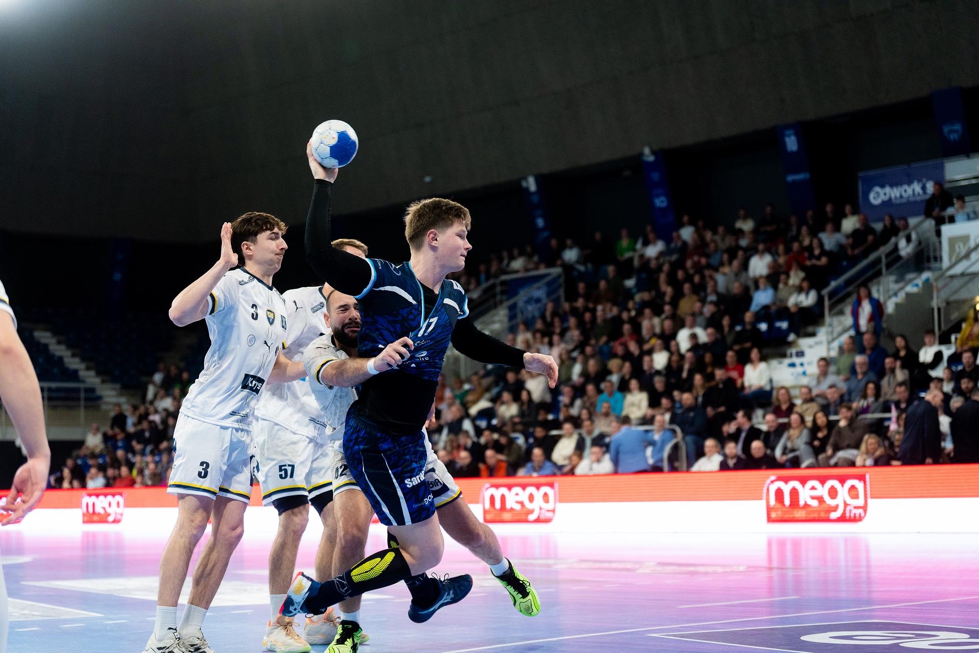 DSC04459.jpg_compressed