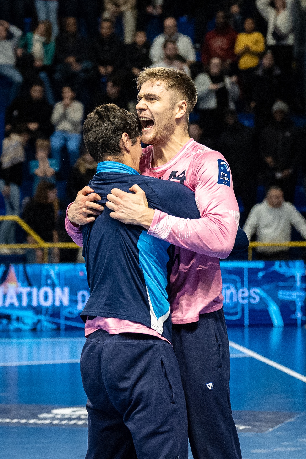 DSC04478.jpg_compressed