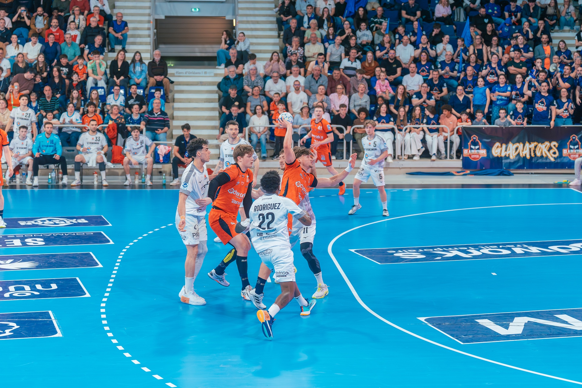 DSC04603.jpg_compressed