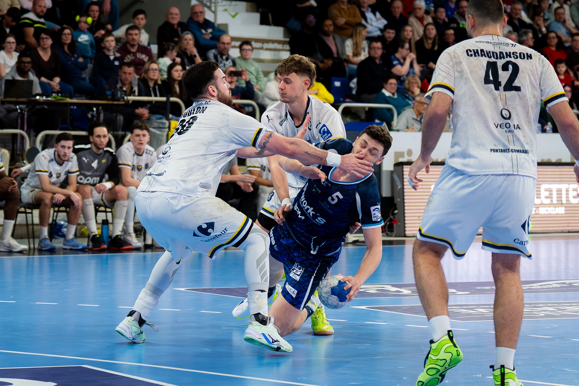 DSC05020.jpg_compressed