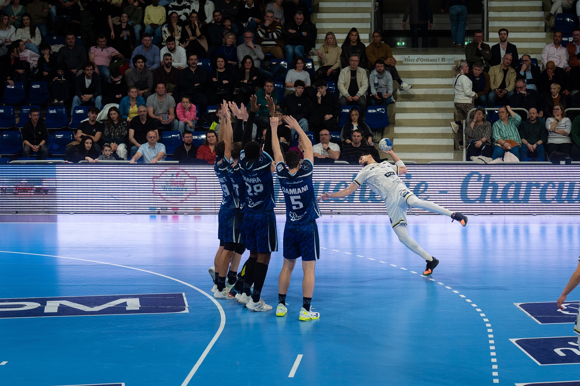 DSC05145.jpg_compressed