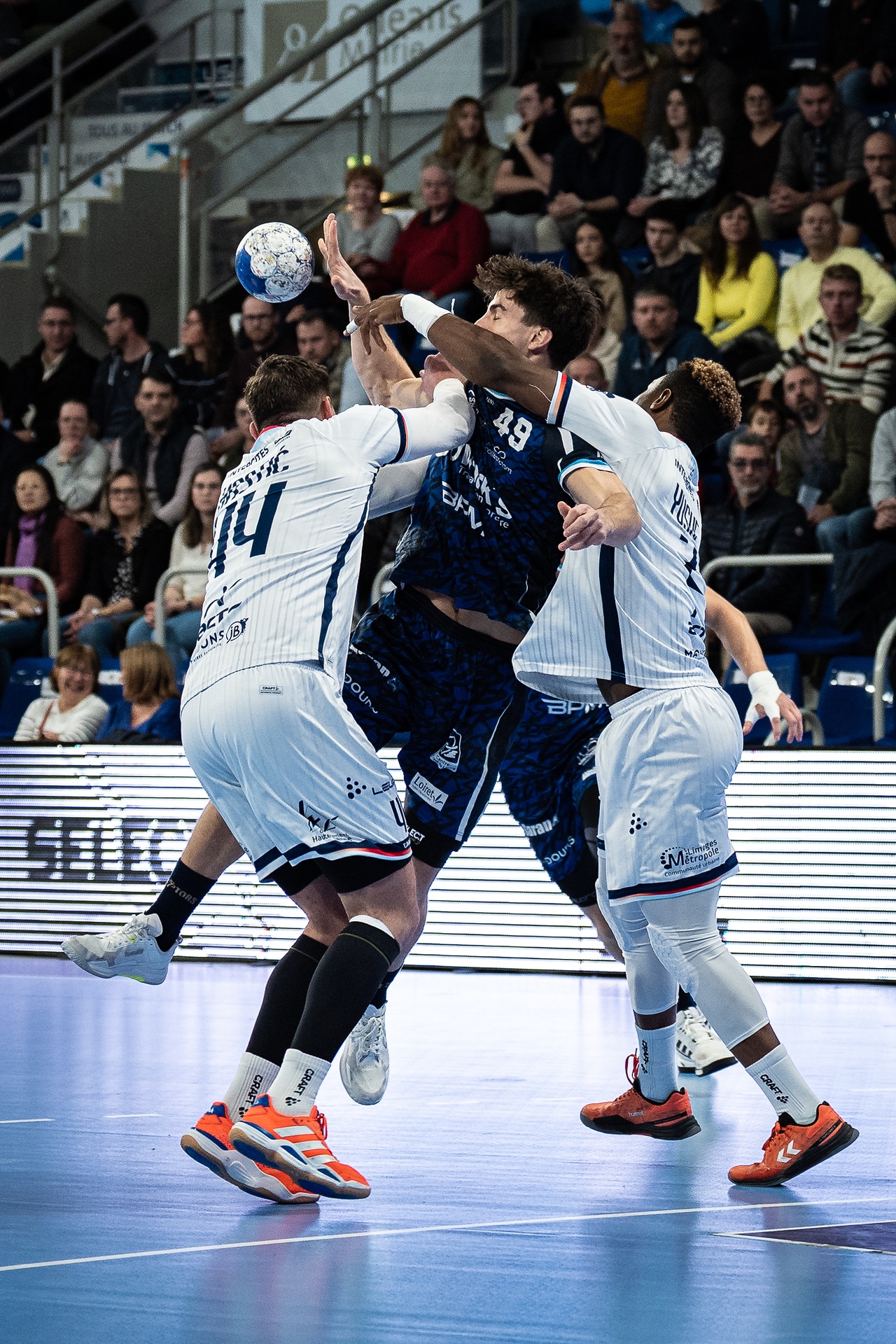 DSC05273-2.jpg_compressed