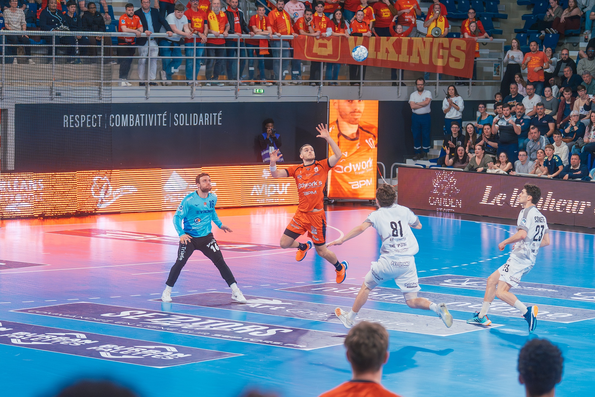 DSC05277.jpg_compressed