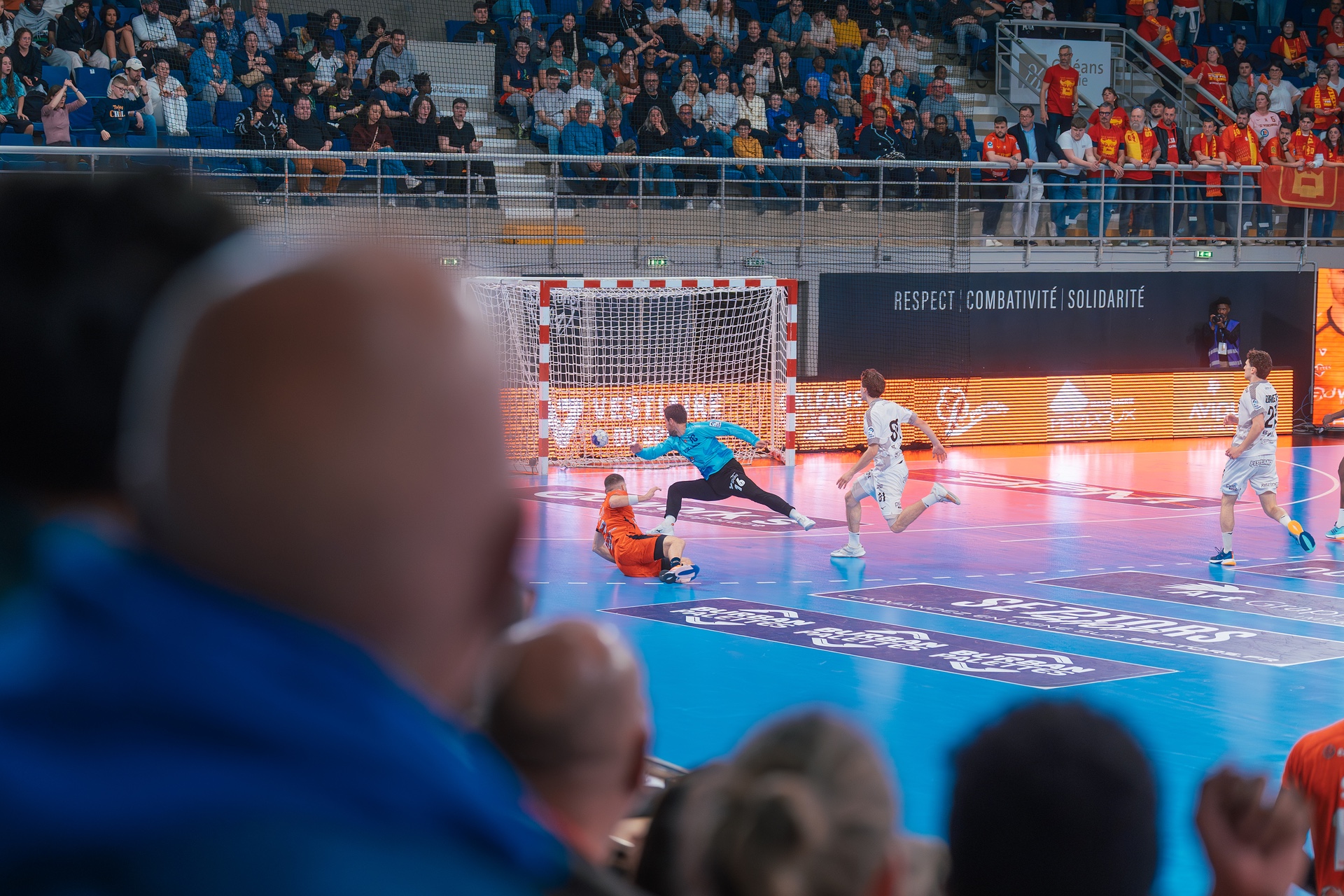 DSC05289.jpg_compressed