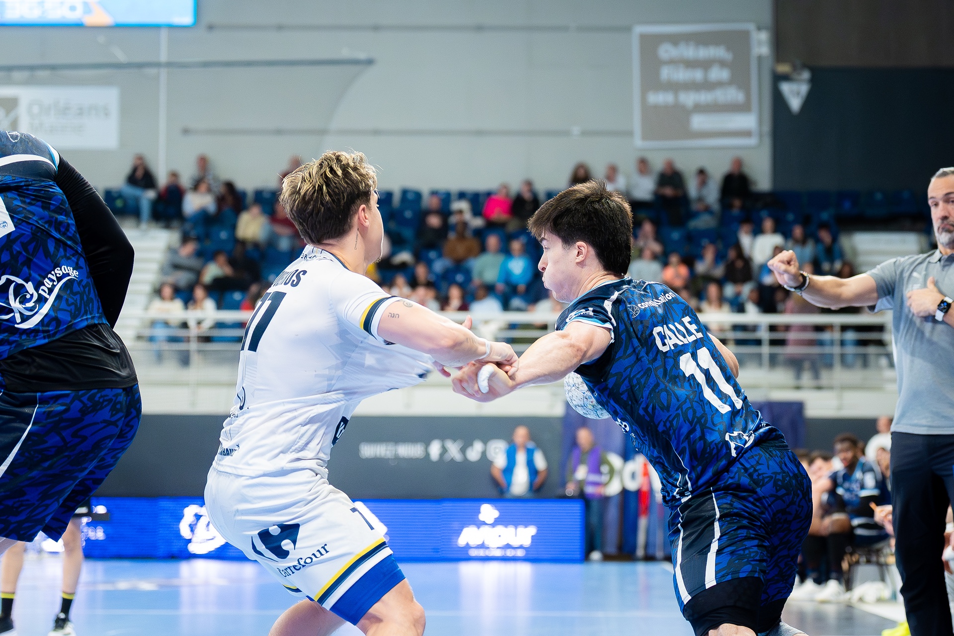 DSC05350.jpg_compressed