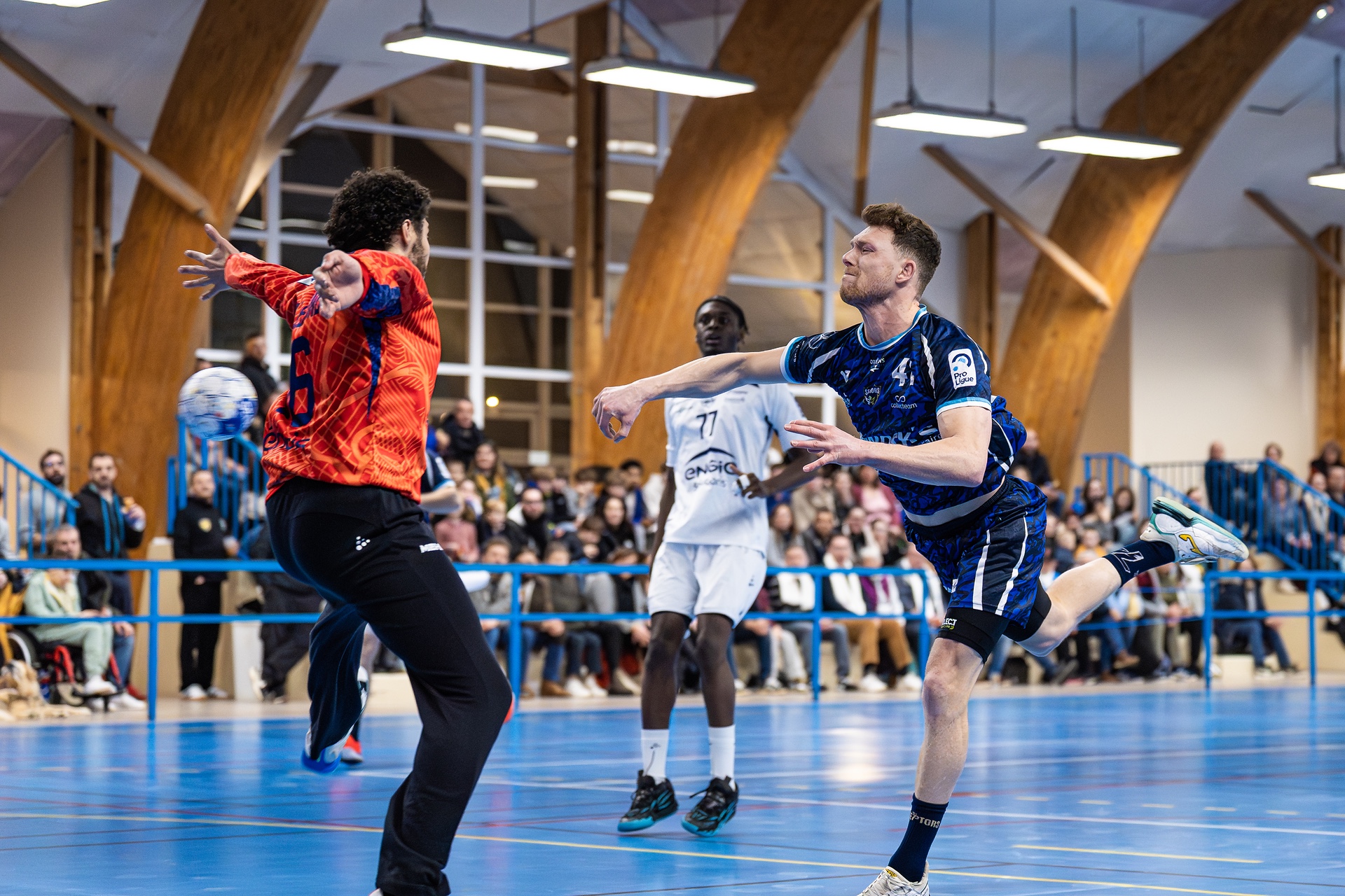 DSC05375.jpg_compressed