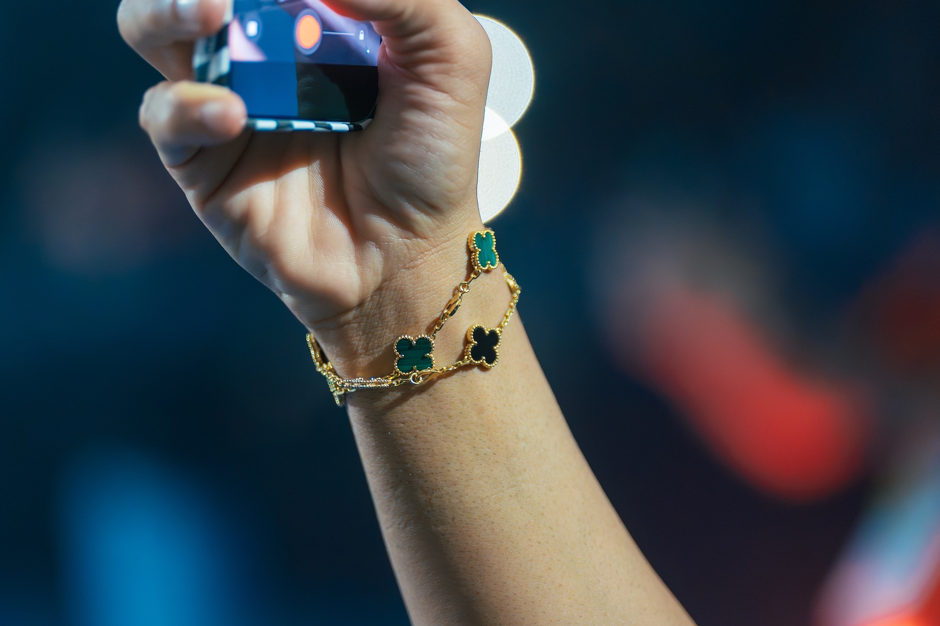 DSC05388.jpg_compressed