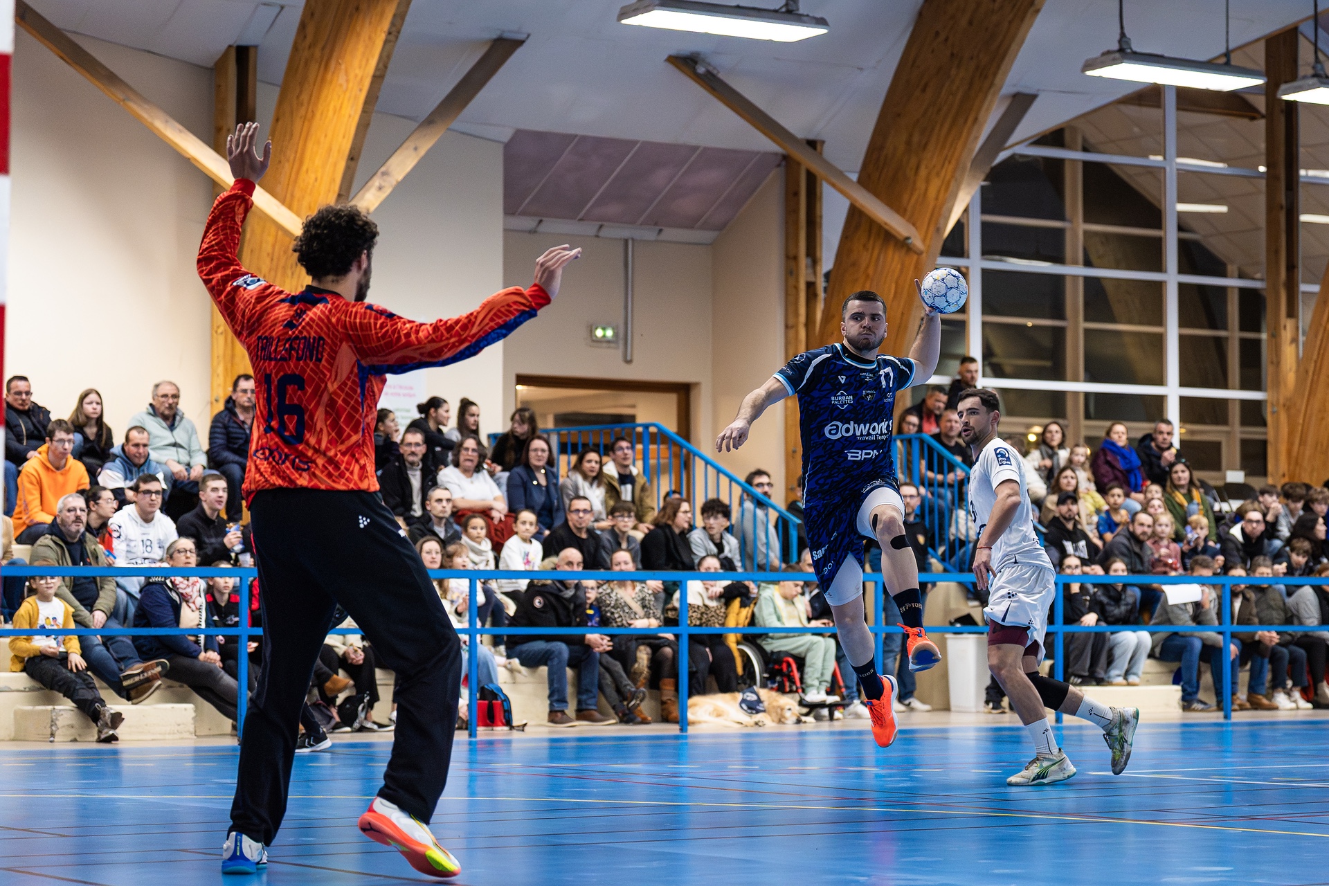 DSC05450.jpg_compressed