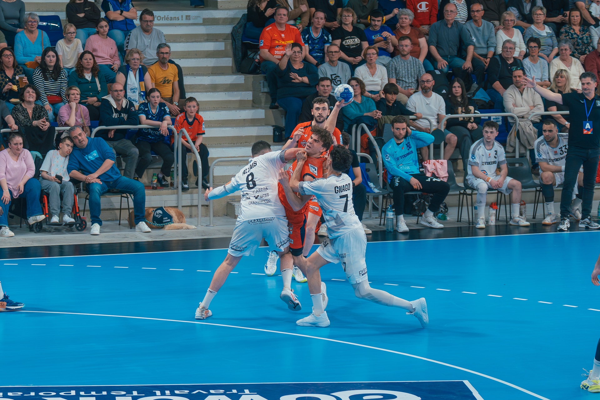 DSC05462.jpg_compressed