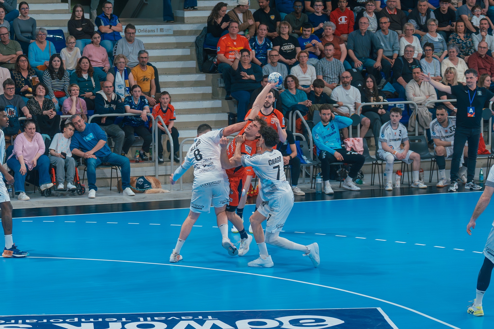 DSC05463.jpg_compressed