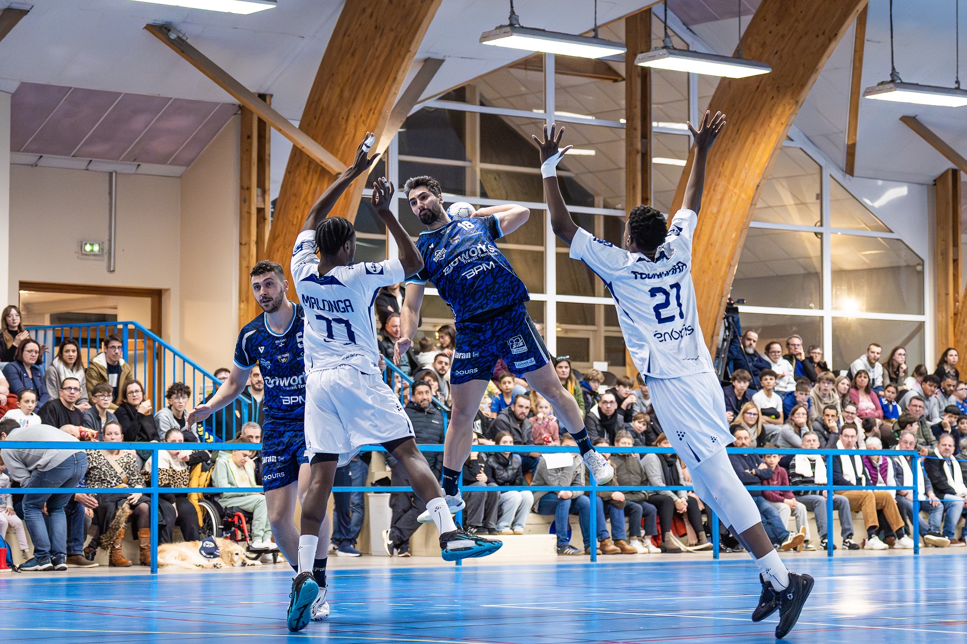 DSC05495.jpg_compressed