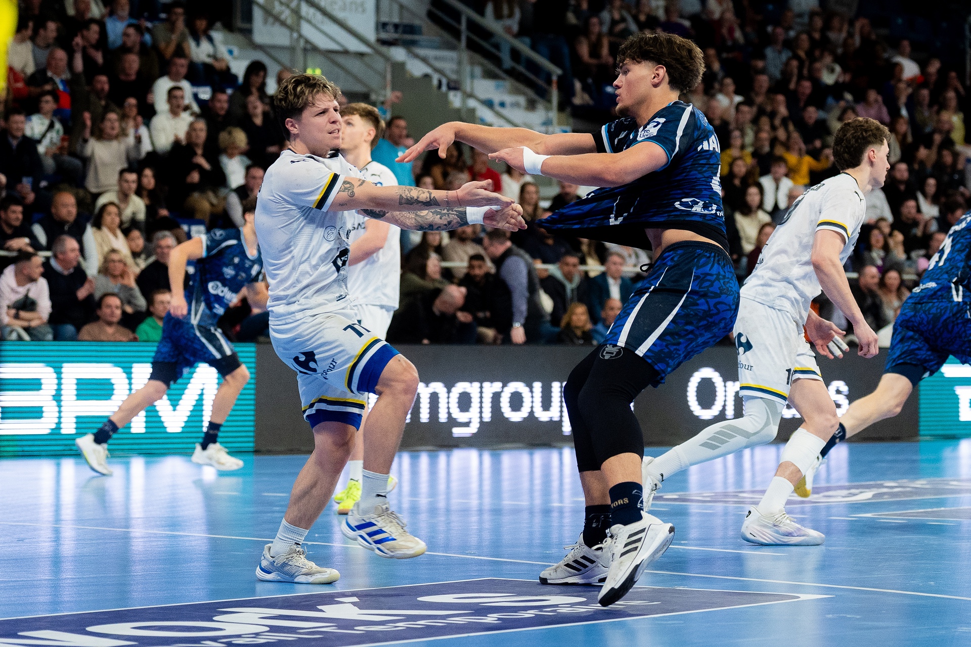 DSC05543.jpg_compressed