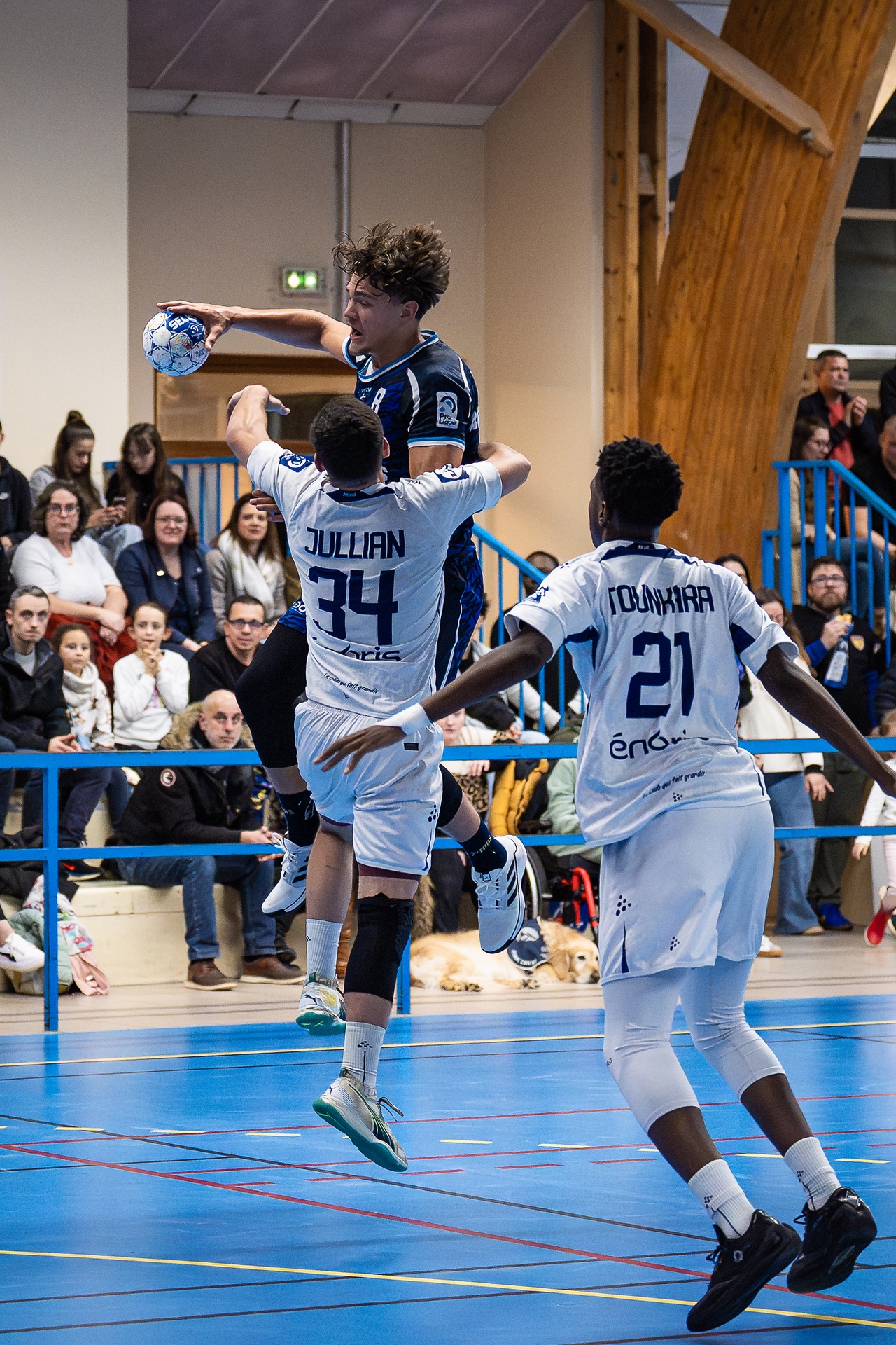 DSC05575.jpg_compressed