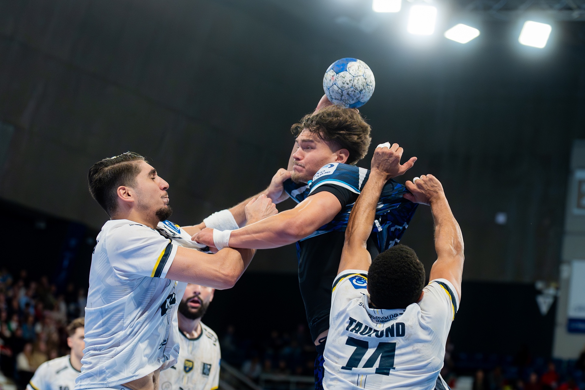 DSC05598.jpg_compressed