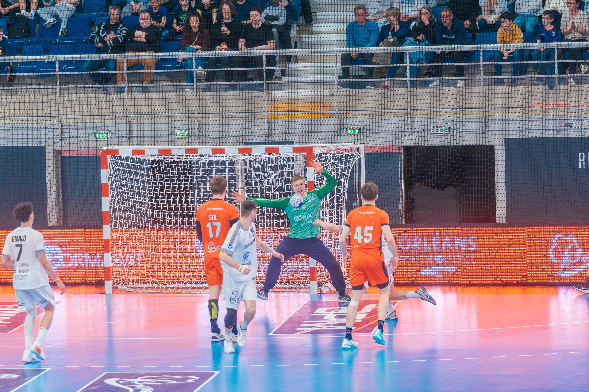 DSC05683.jpg_compressed