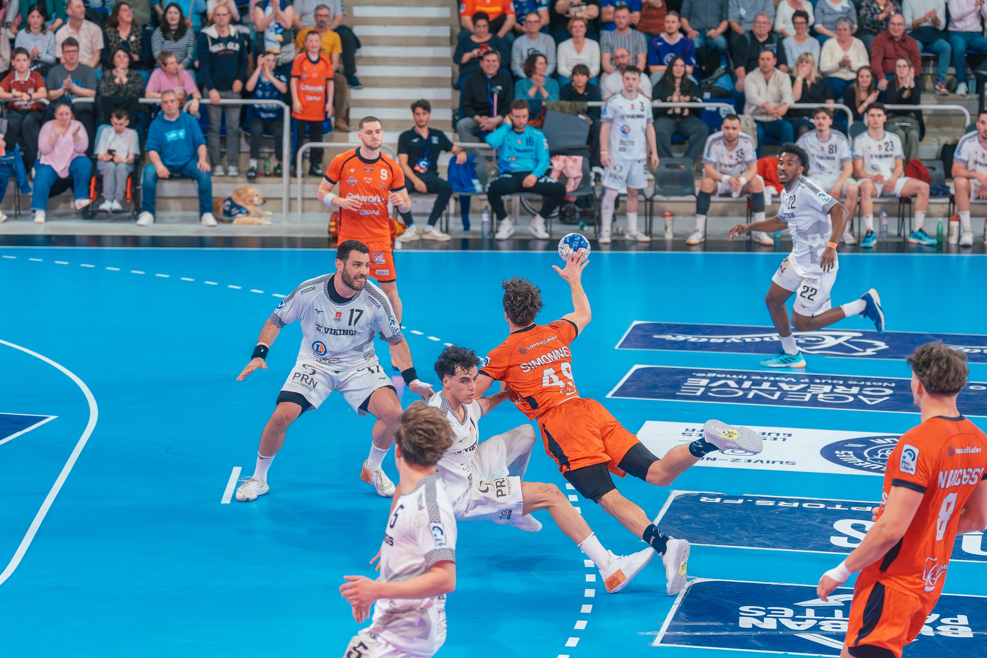 DSC05778.jpg_compressed