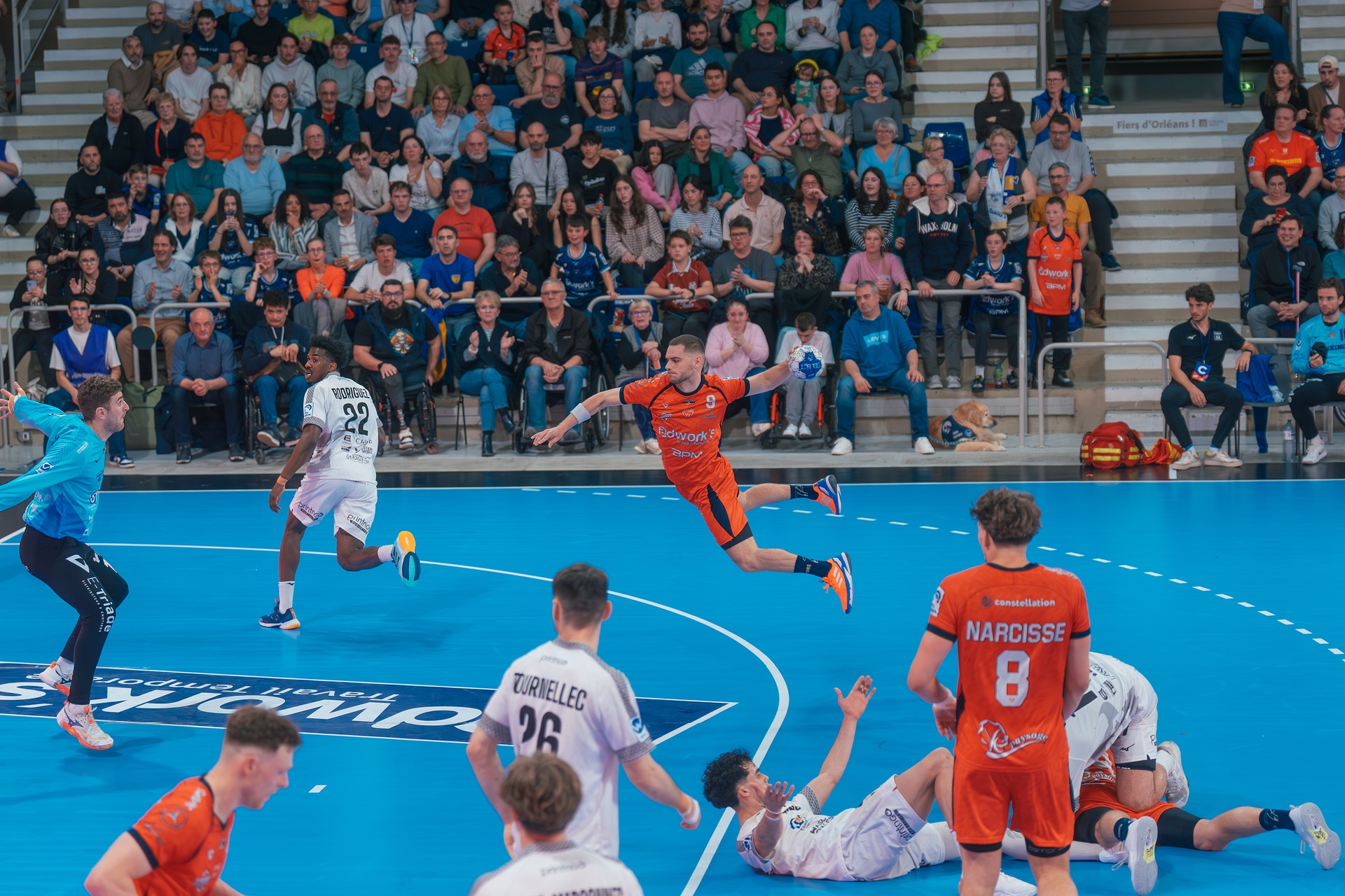 DSC05789.jpg_compressed