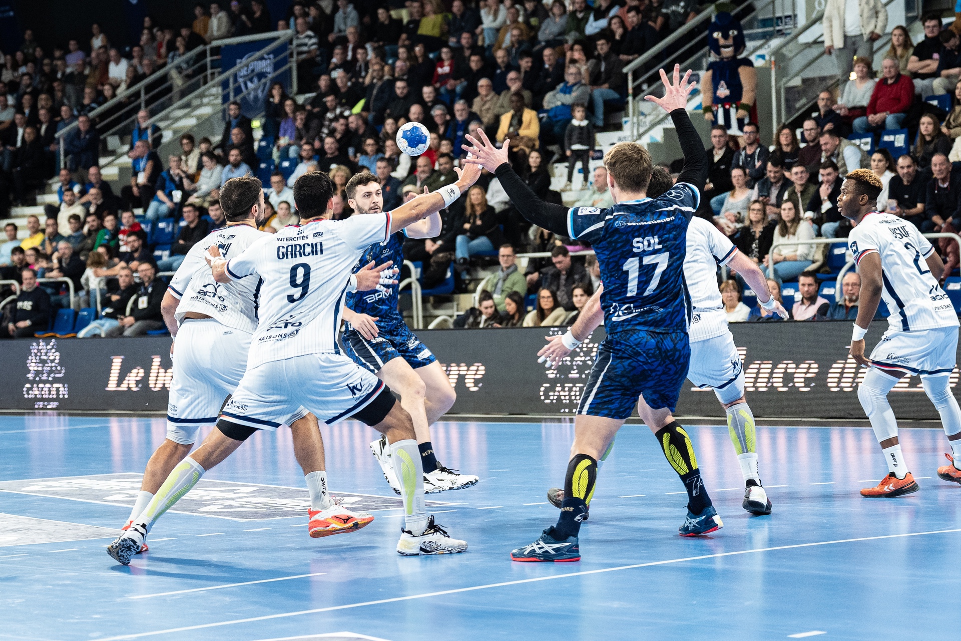 DSC05807.jpg_compressed