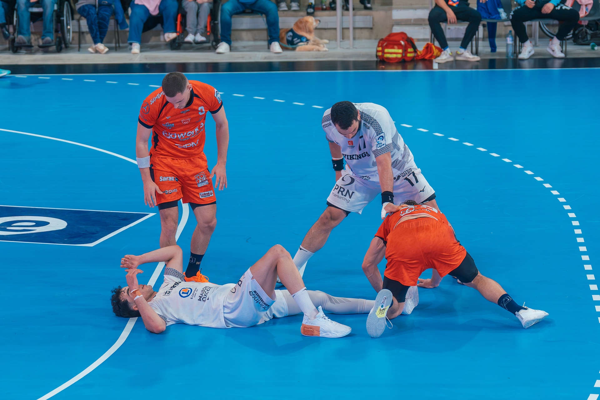 DSC05808.jpg_compressed