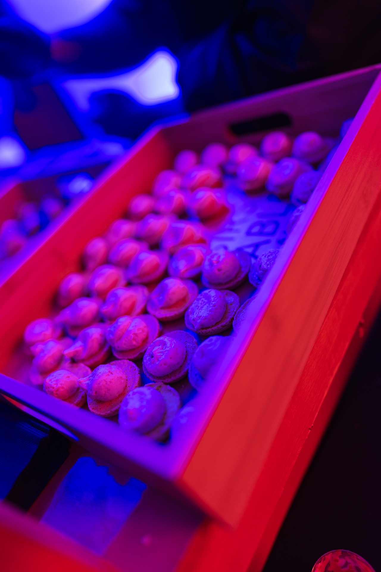 DSC05905.jpg_compressed