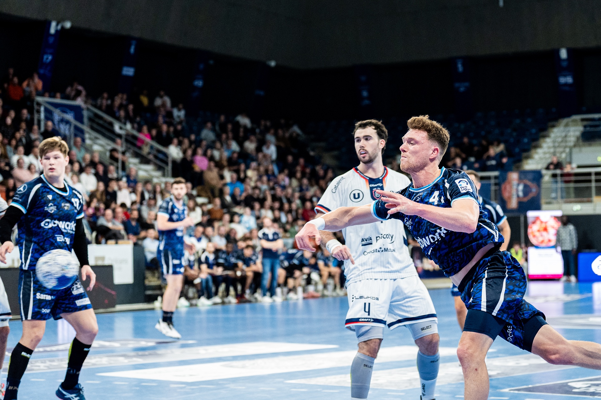 DSC05944.jpg_compressed