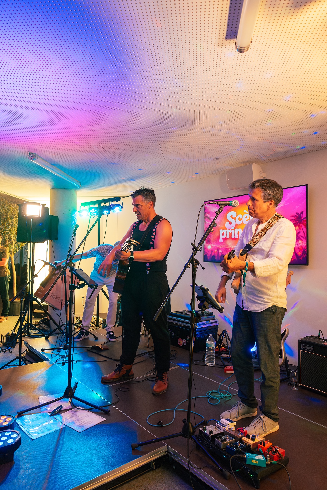 DSC05955.jpg_compressed