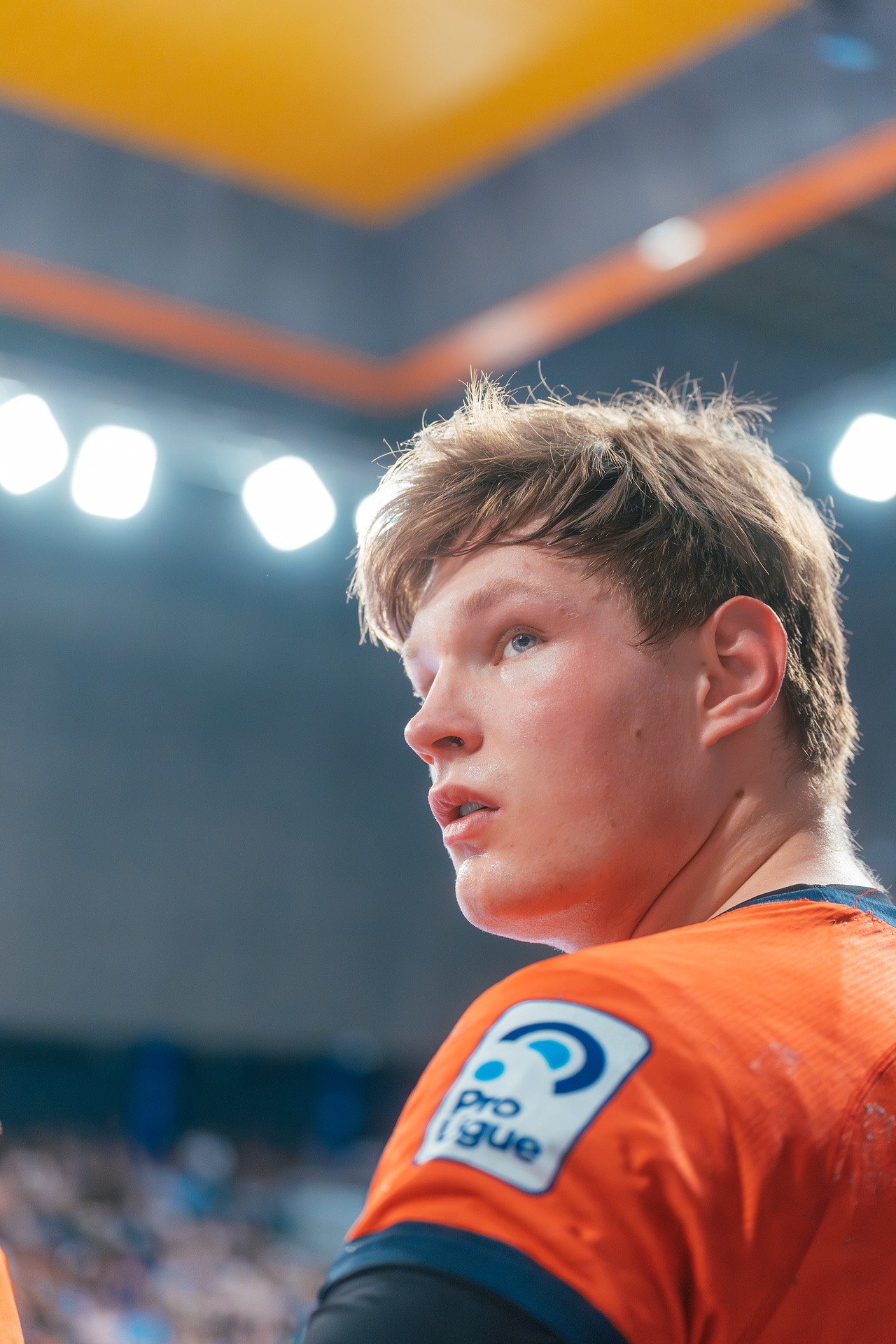 DSC06100.jpg_compressed