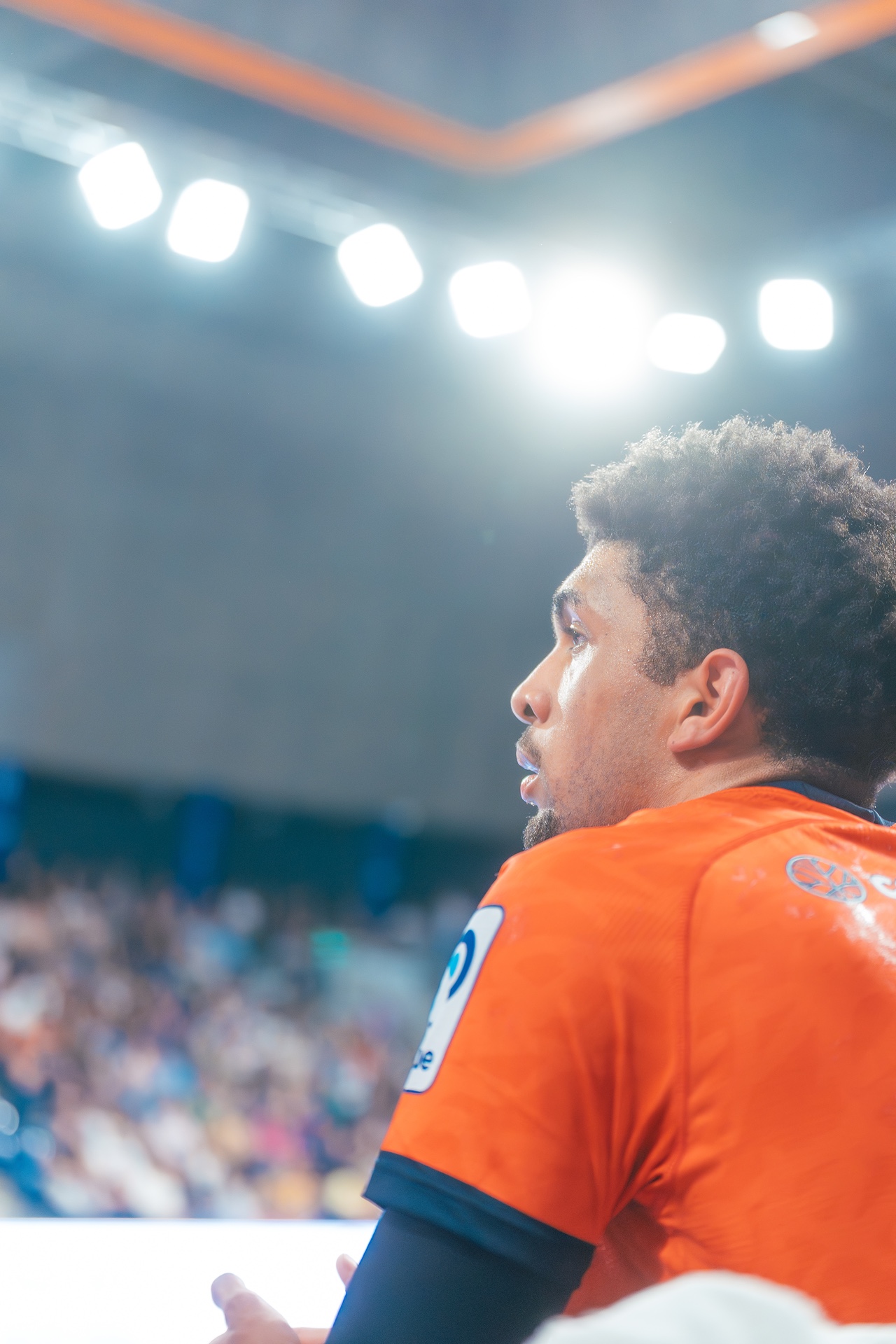 DSC06165.jpg_compressed