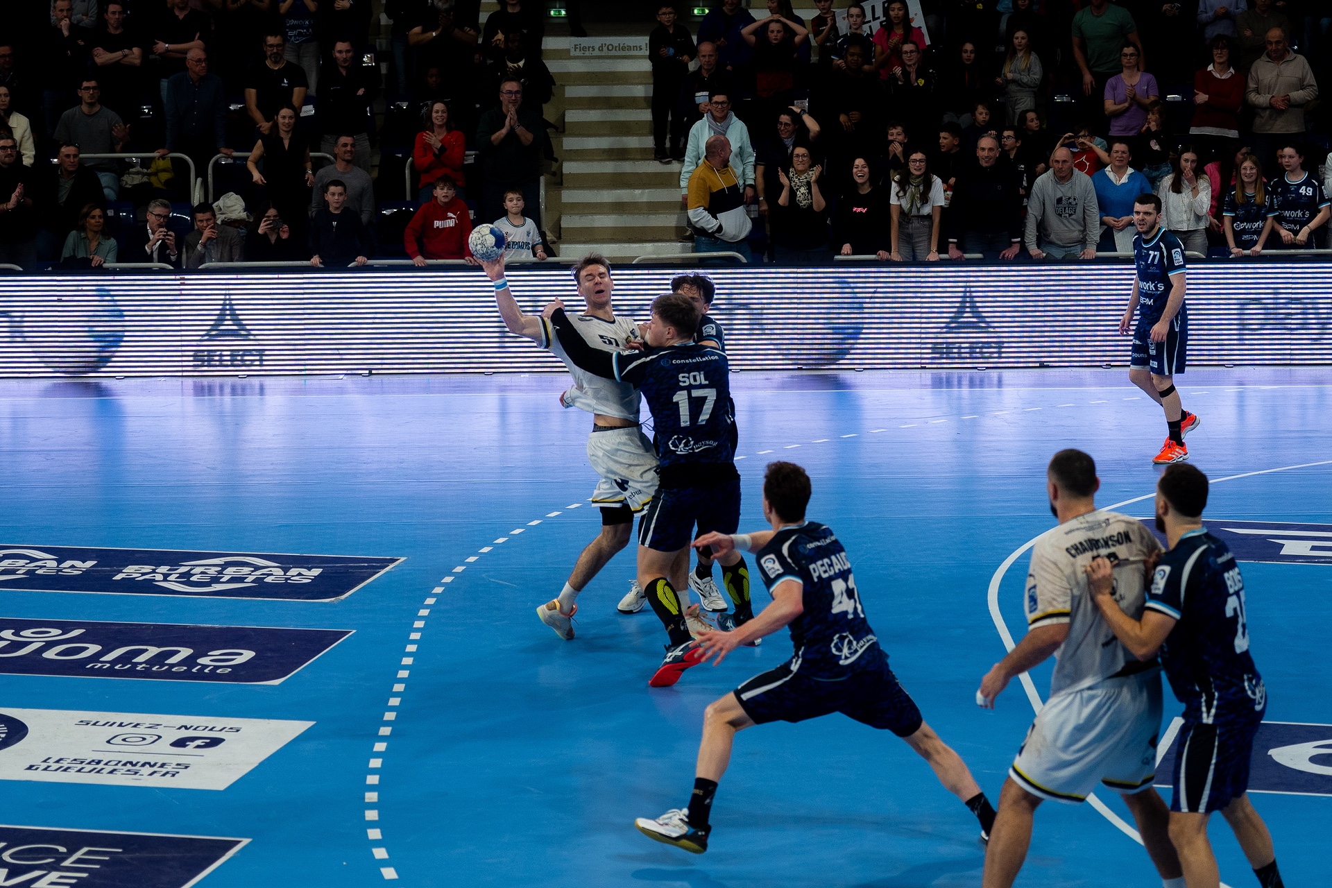 DSC06167_1.jpg_compressed