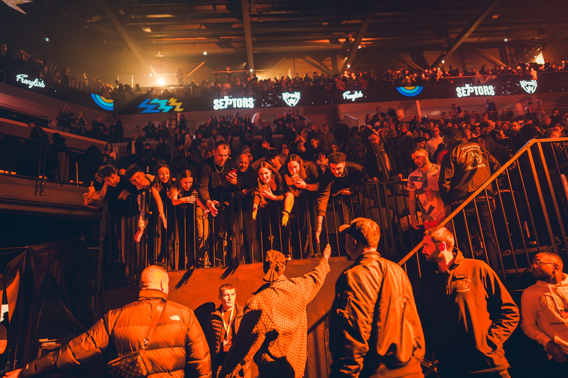 DSC06355.jpg_compressed