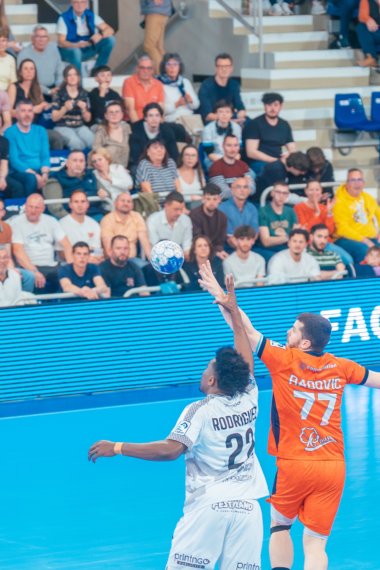 DSC06367.jpg_compressed