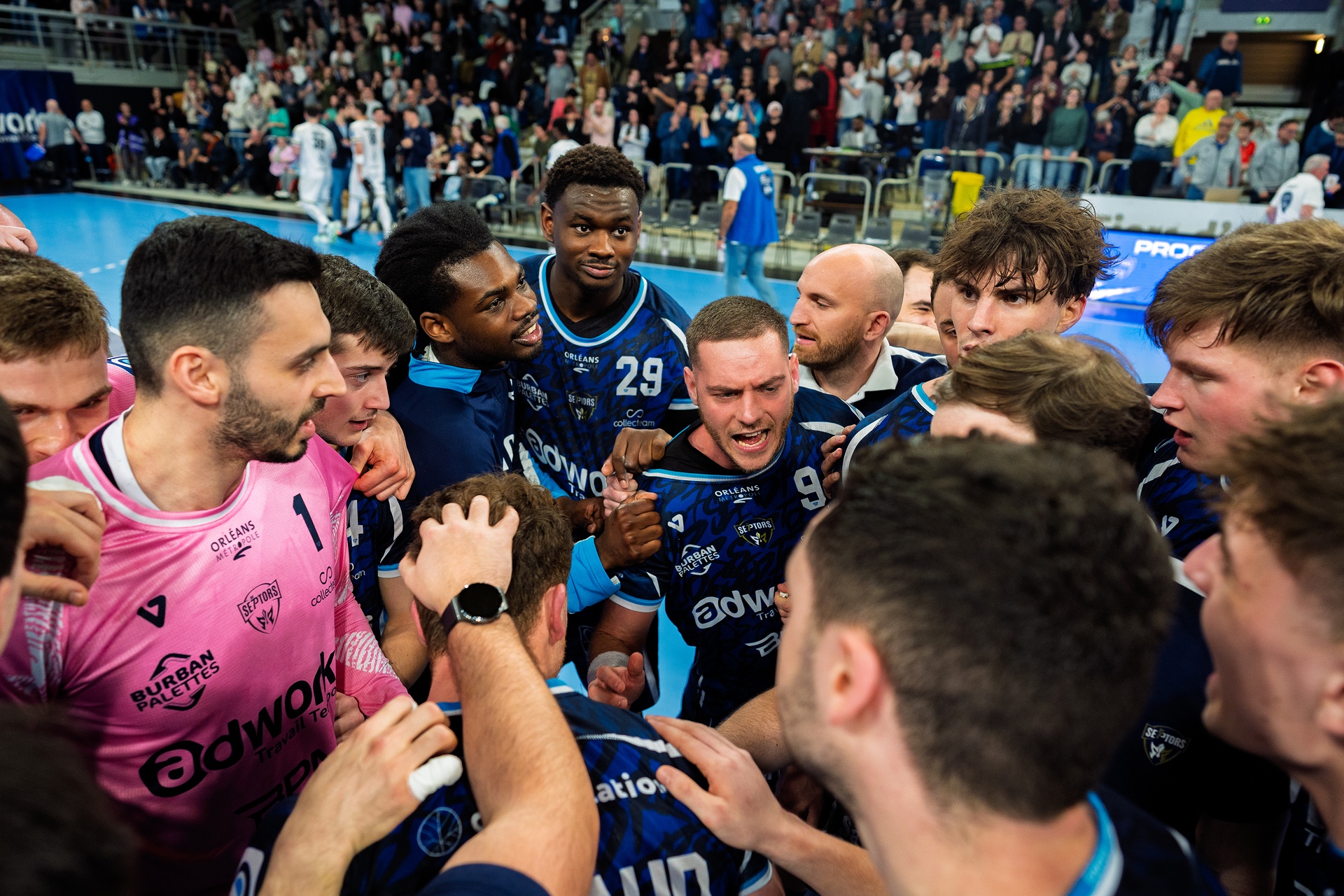 DSC06546.jpg_compressed