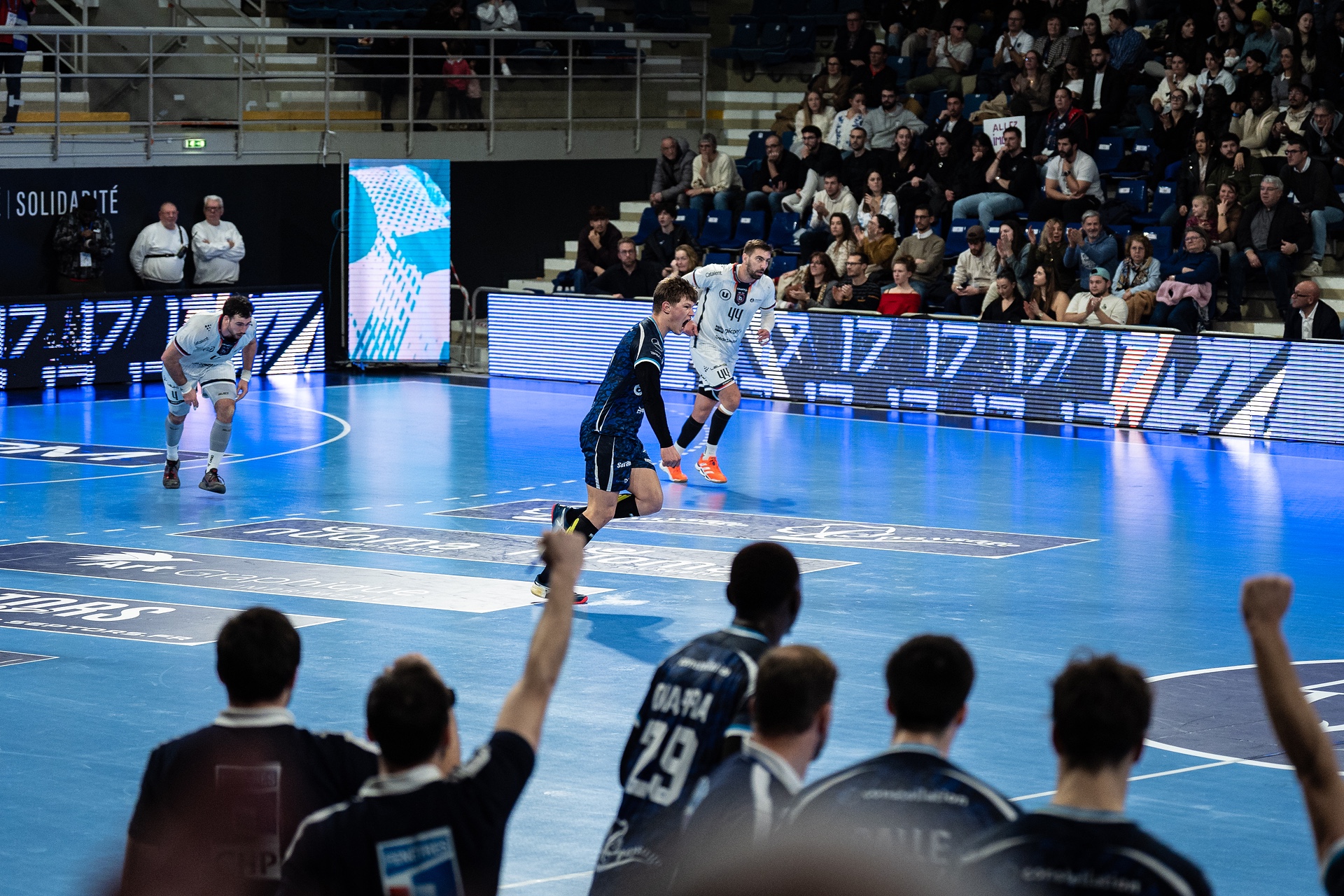 DSC07049.jpg_compressed