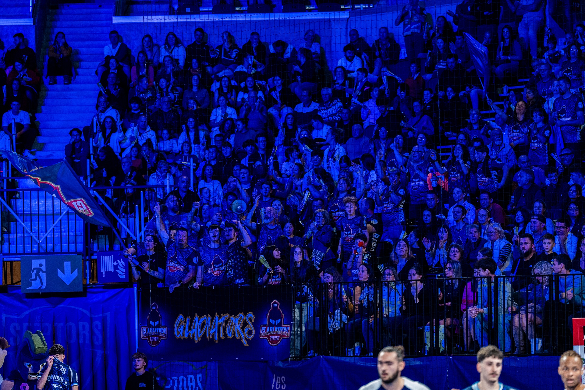 DSC07105.jpg_compressed