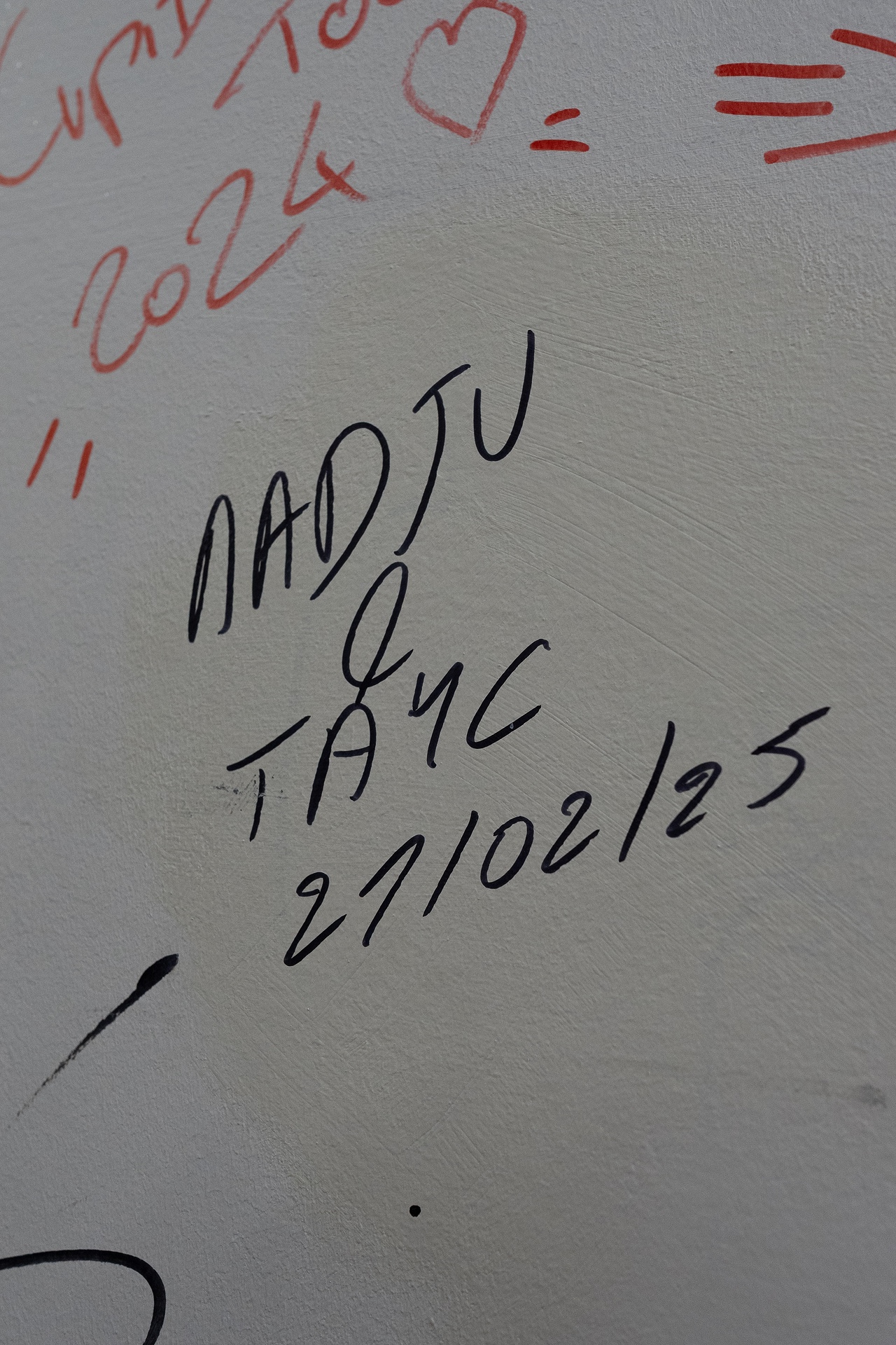 DSC07774.jpg_compressed