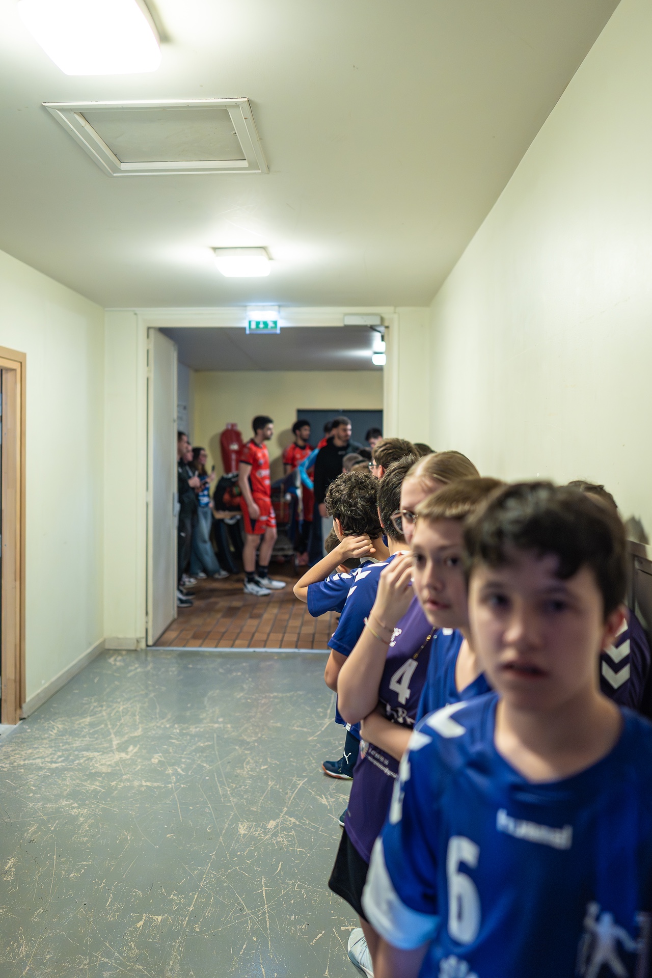 DSC08008.jpg_compressed