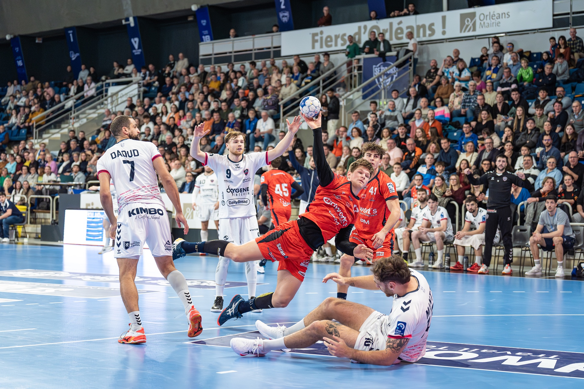 DSC08079.jpg_compressed