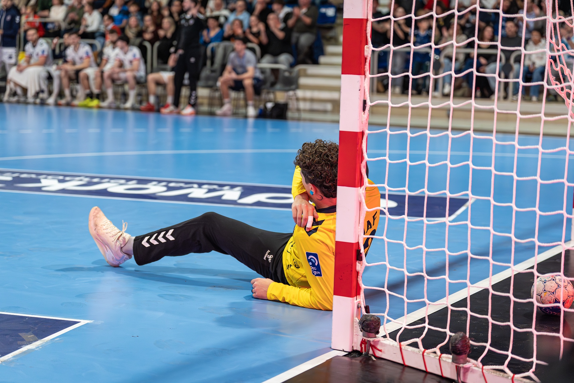 DSC08089.jpg_compressed