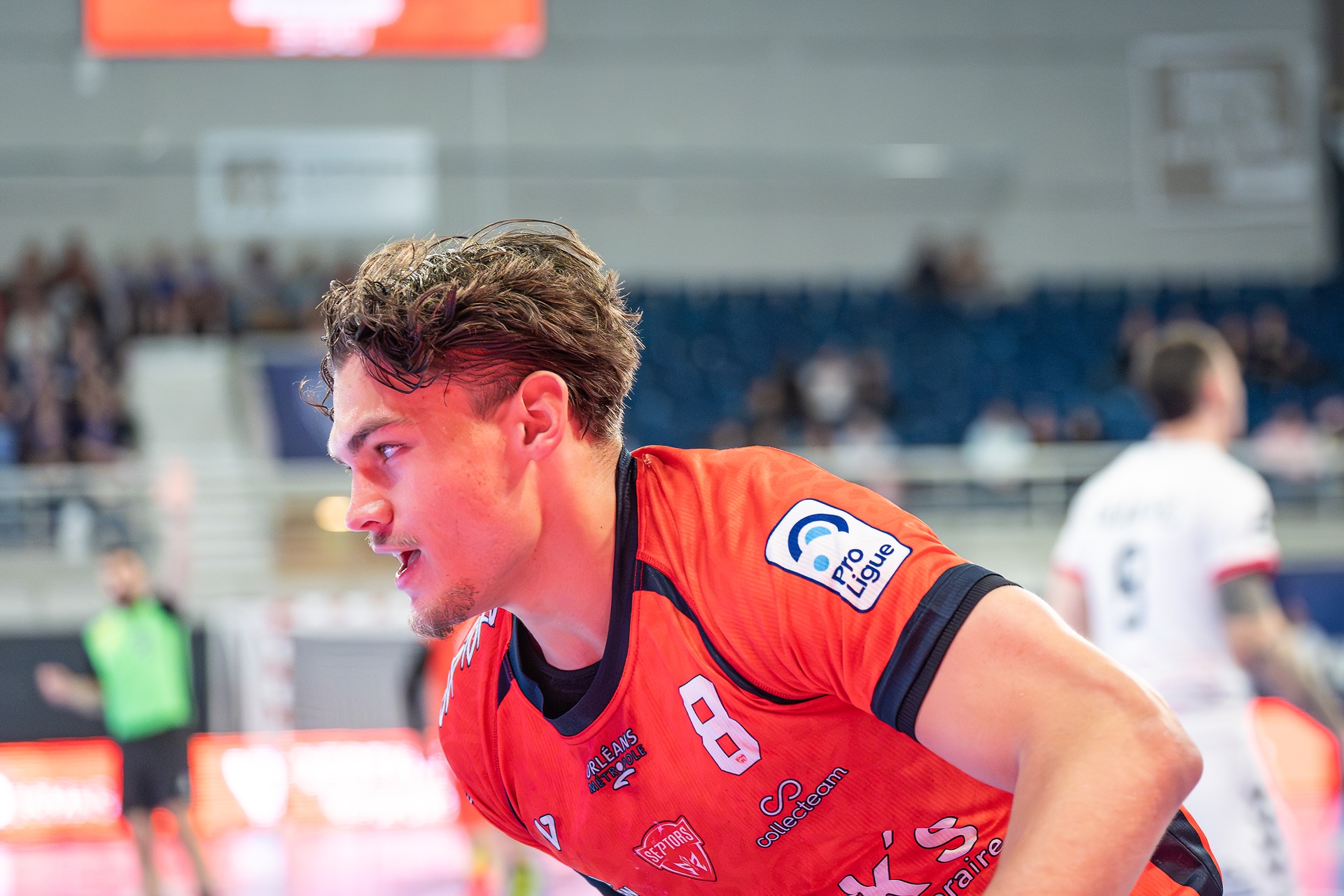 DSC08231.jpg_compressed